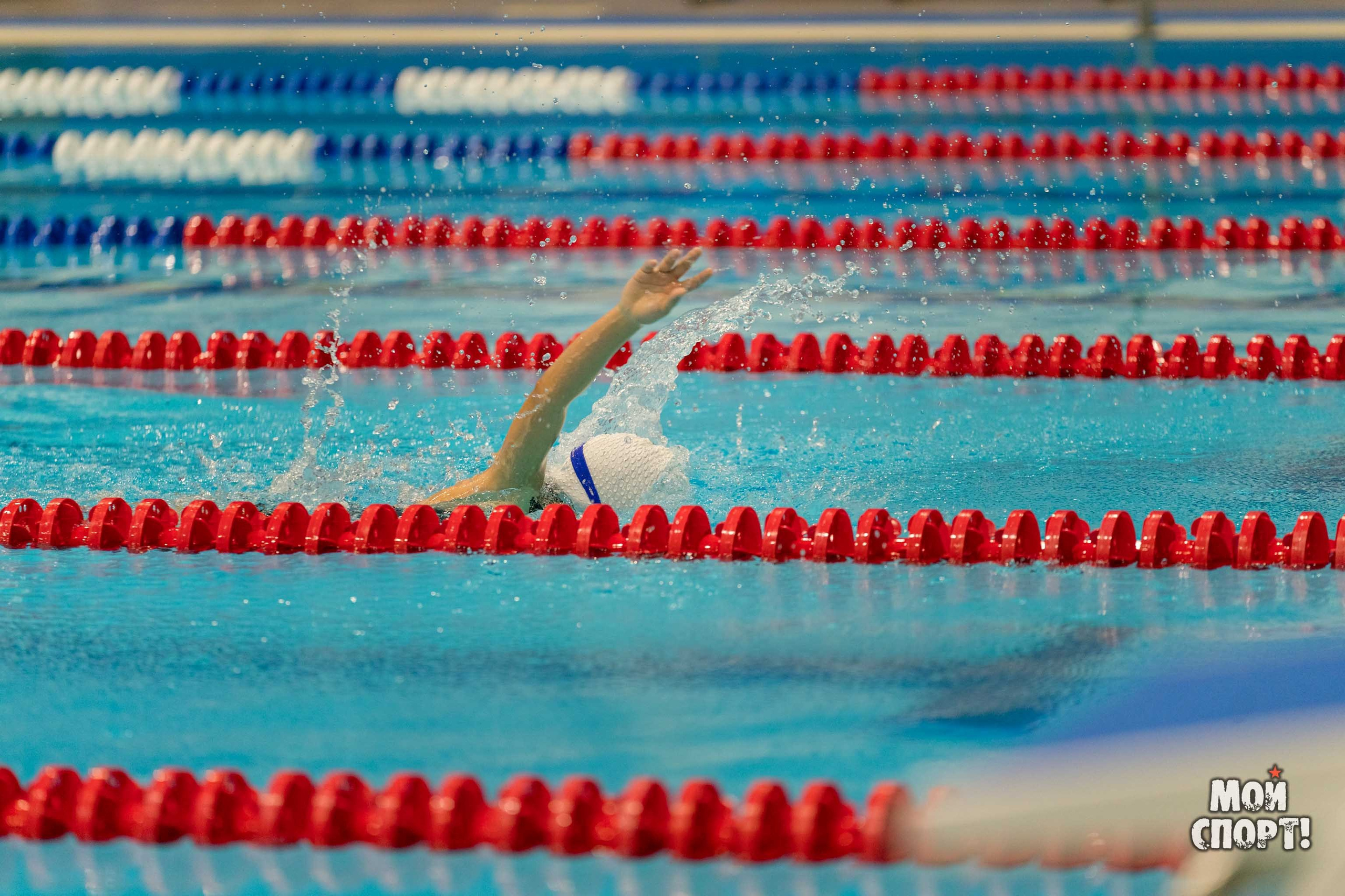 Соревнования по плаванию на призы Деда Мороза. Студия «Мой Спорт!» — все о спорте в Якутии