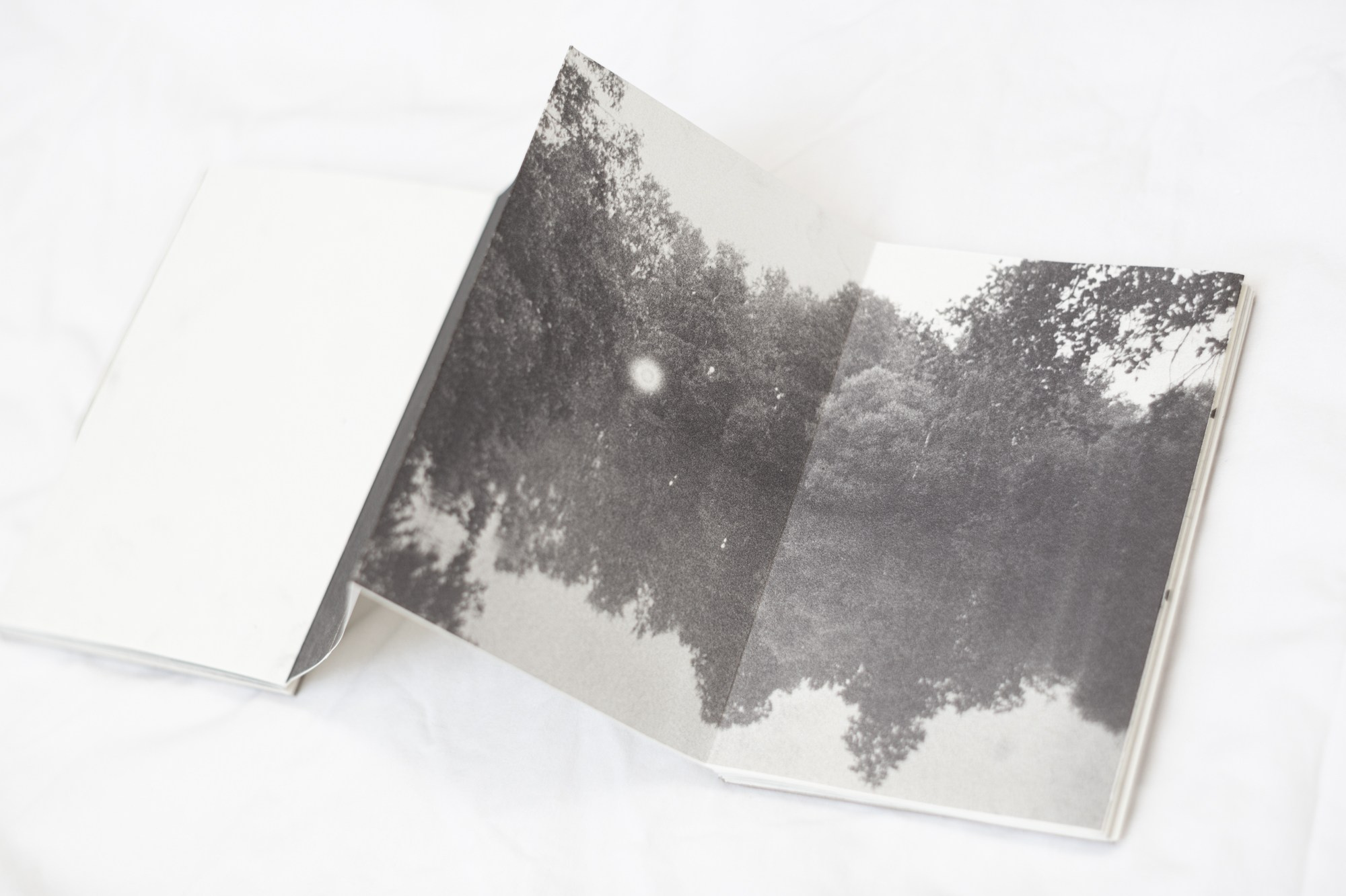 Ultima Thule. Ася Бобрицкая — мультидисциплинарый художник