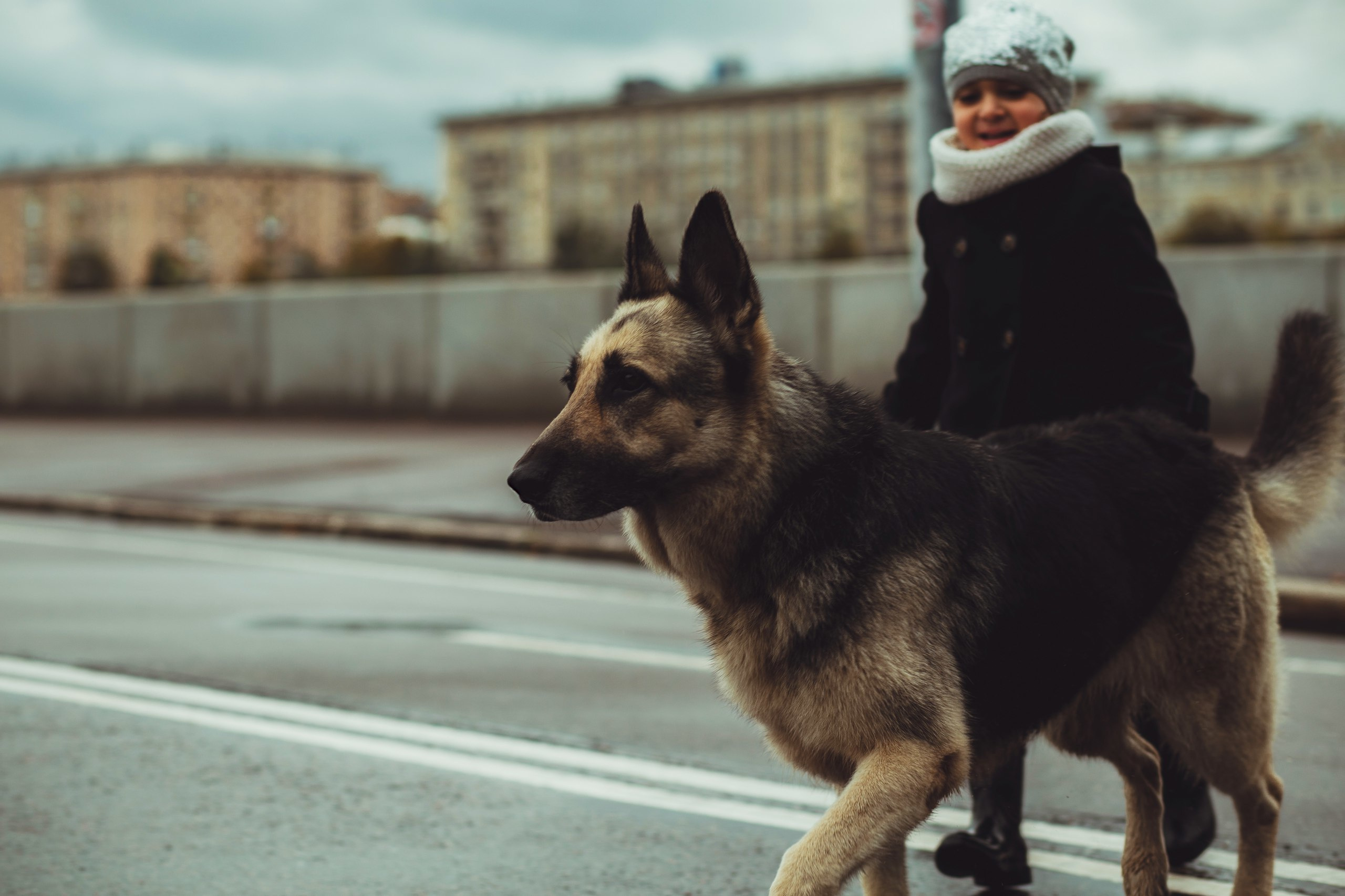 С животными. Свадебный, семейный и портретный фотограф Ксения Краснова