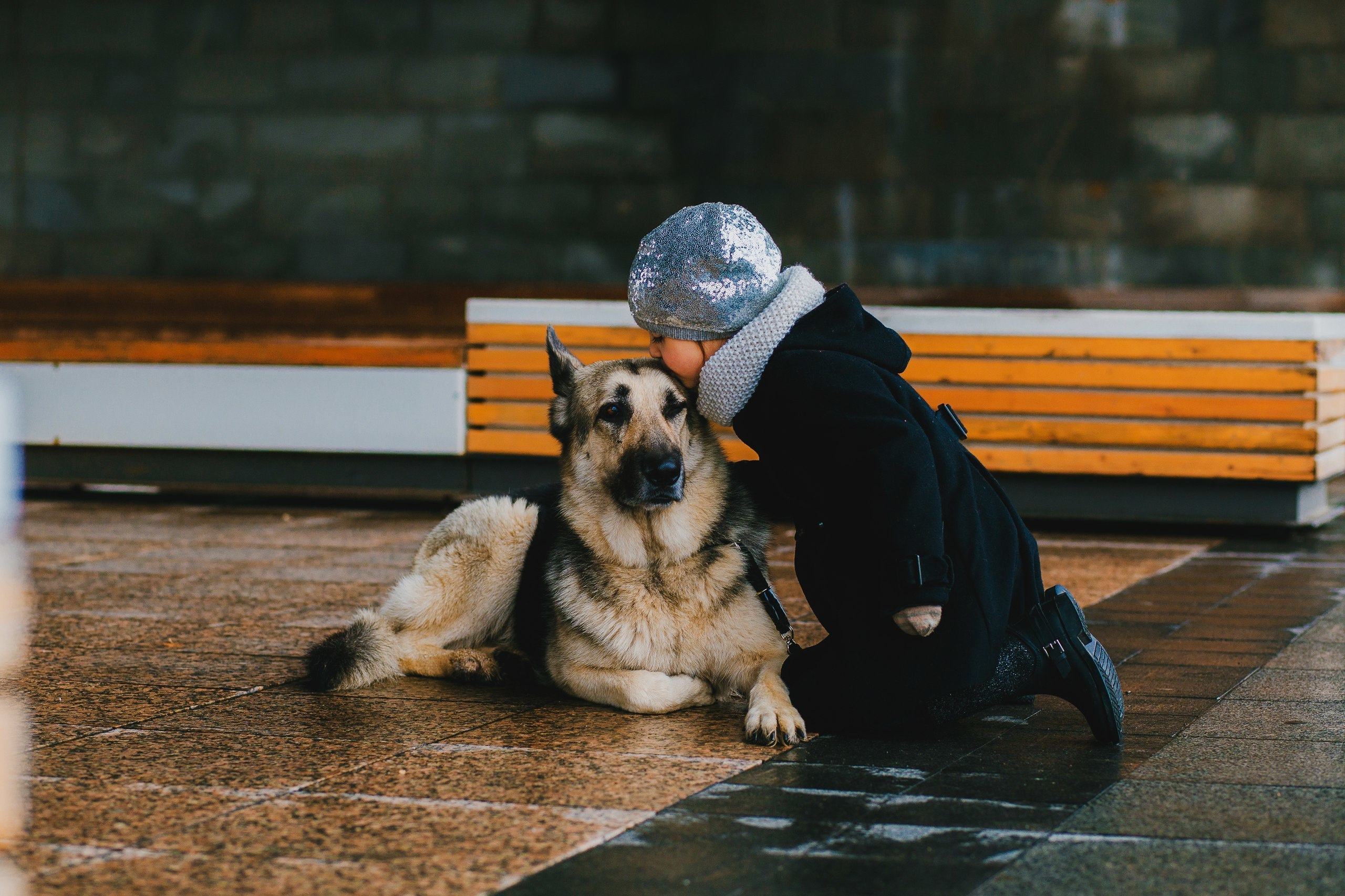 С животными. Свадебный, семейный и портретный фотограф Ксения Краснова