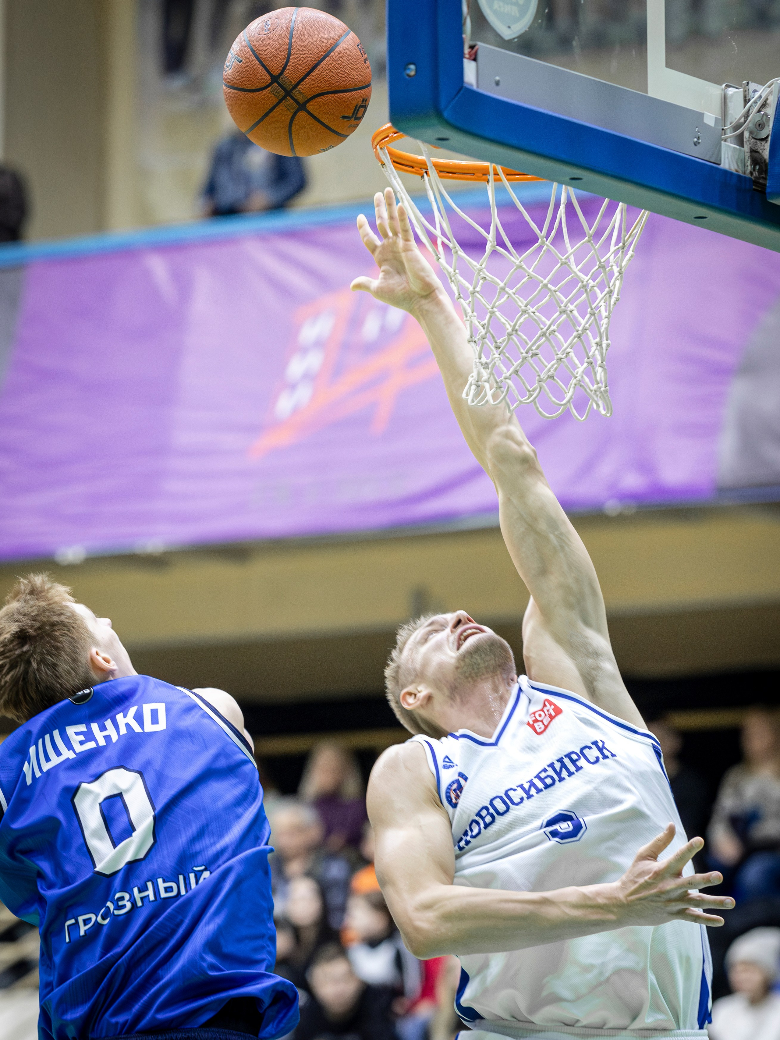 БК Новосибирск. Bertran Ordo