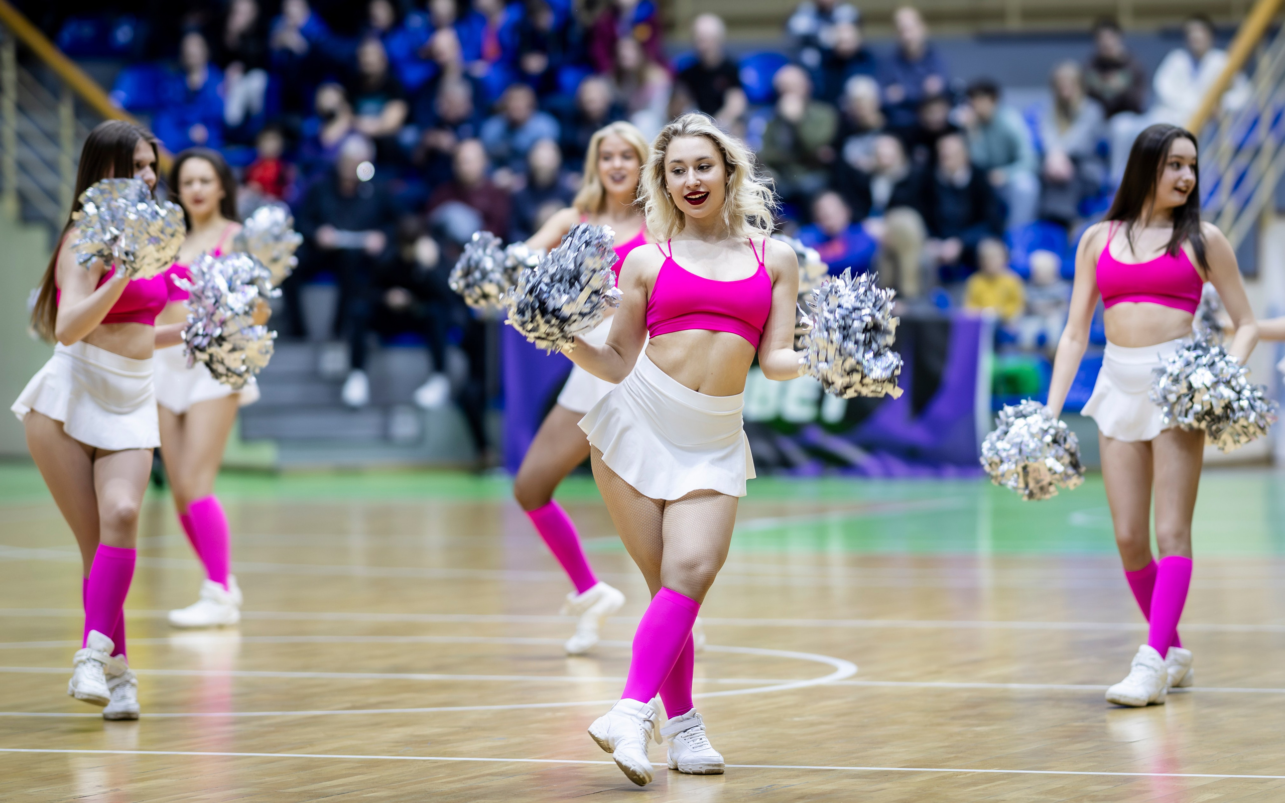 БК Новосибирск. Bertran Ordo