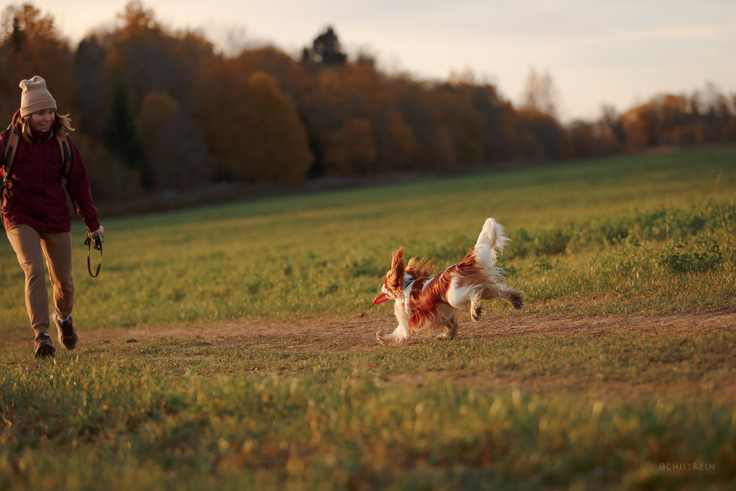 Октябрьский закат в полях. Алина и Лео. Фотограф-анималист Наталия Чистюхина в г. Сосновый Бор и ЛО