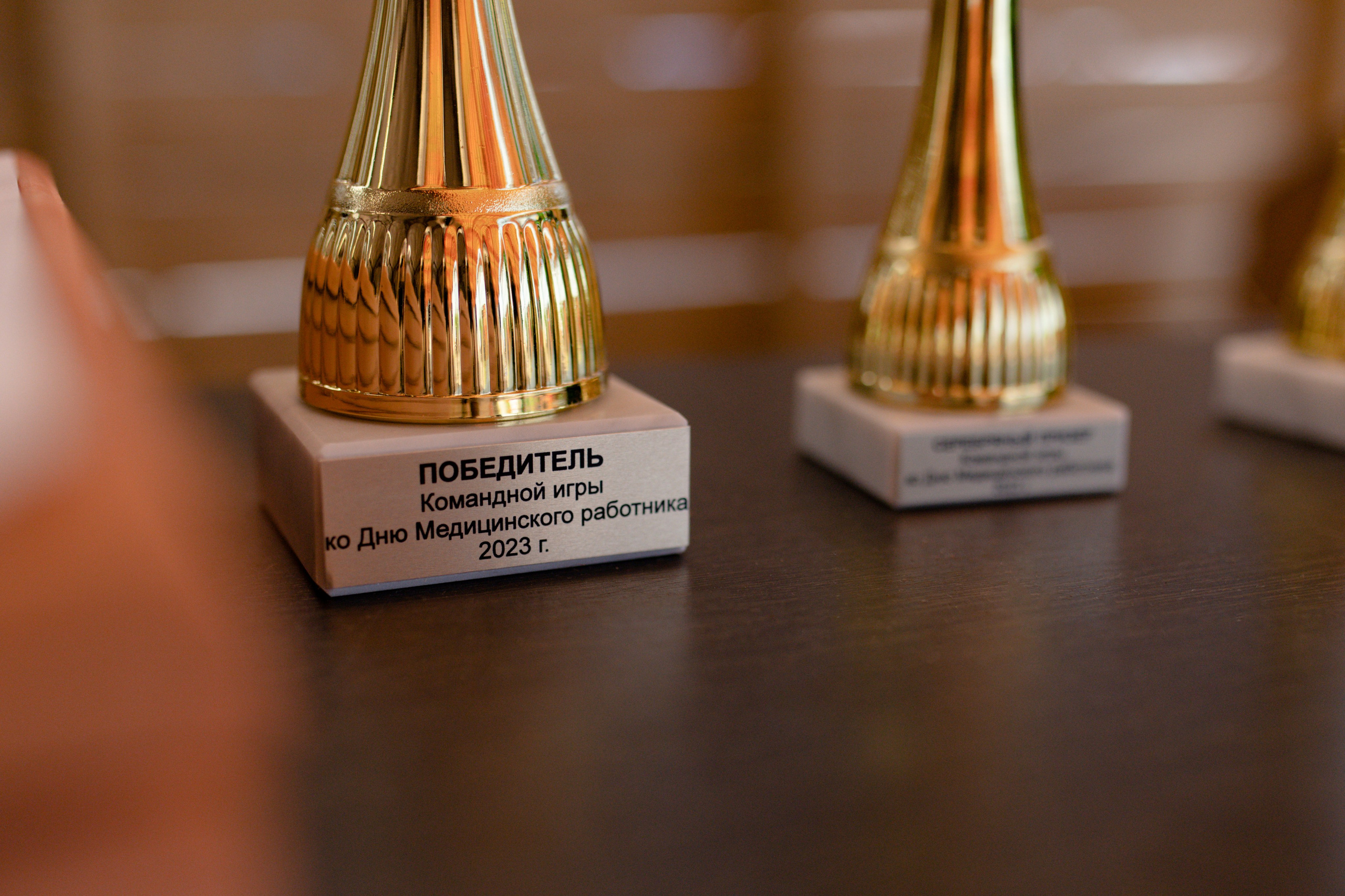 Корпоративное мероприятие ГКБ № 1 — Курочкино. Свадебный фотограф Екатеринбург/Челябинск — Любовь Волохова