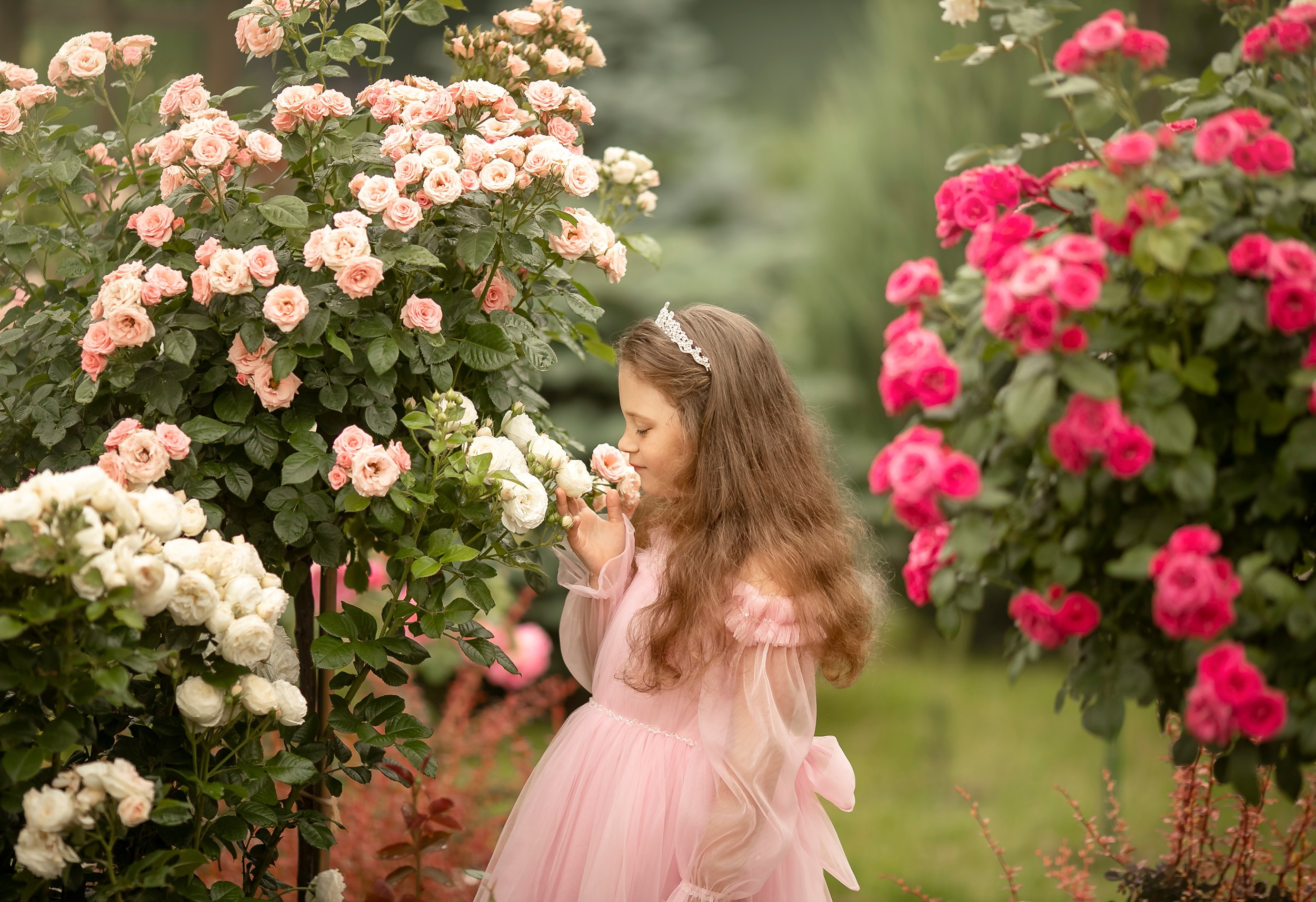 Проект «Принцесса». Фотографирую в парке-заповеднике «Купидон»