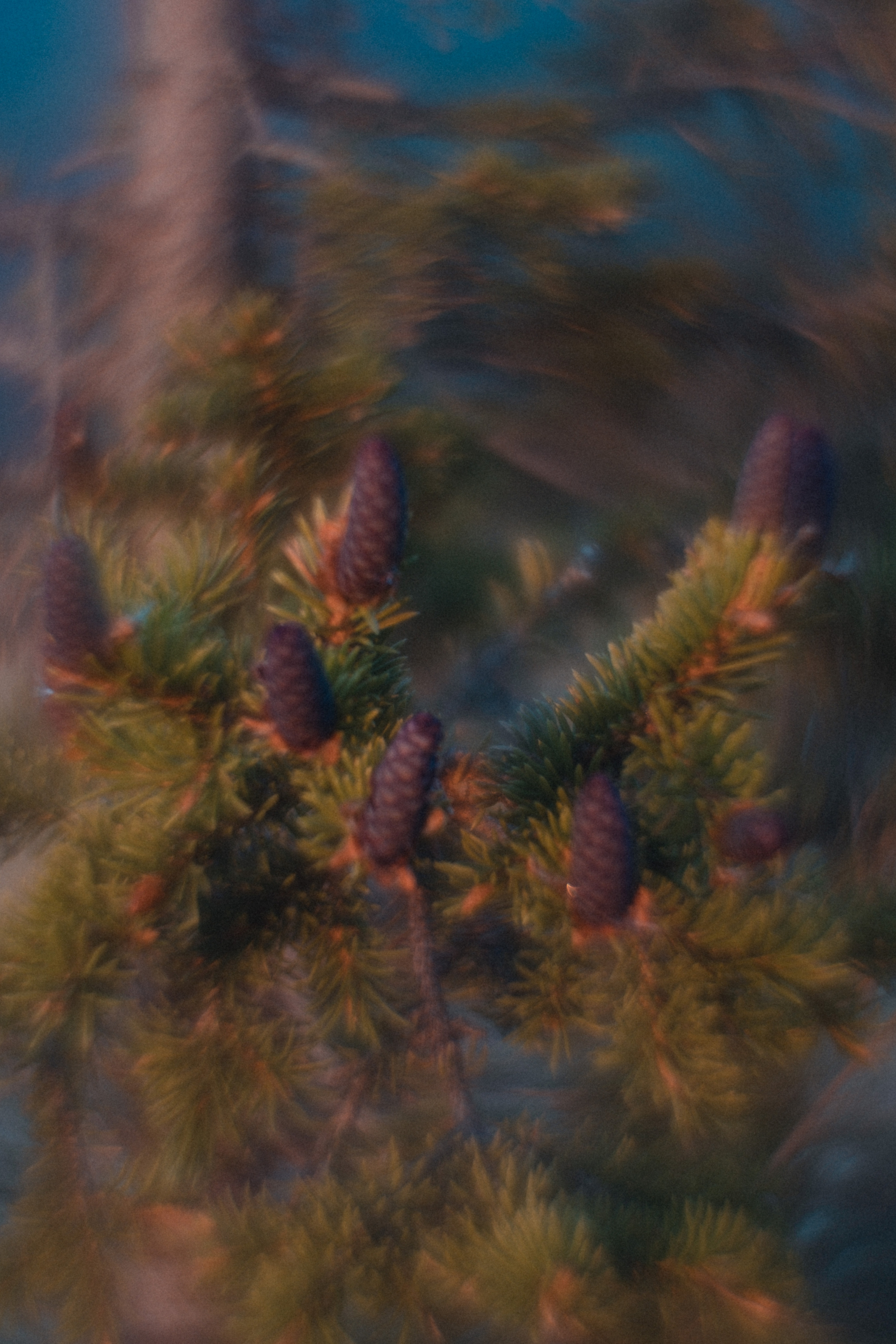 Таганай | Май 2023. Andrew Sozonov visual artist