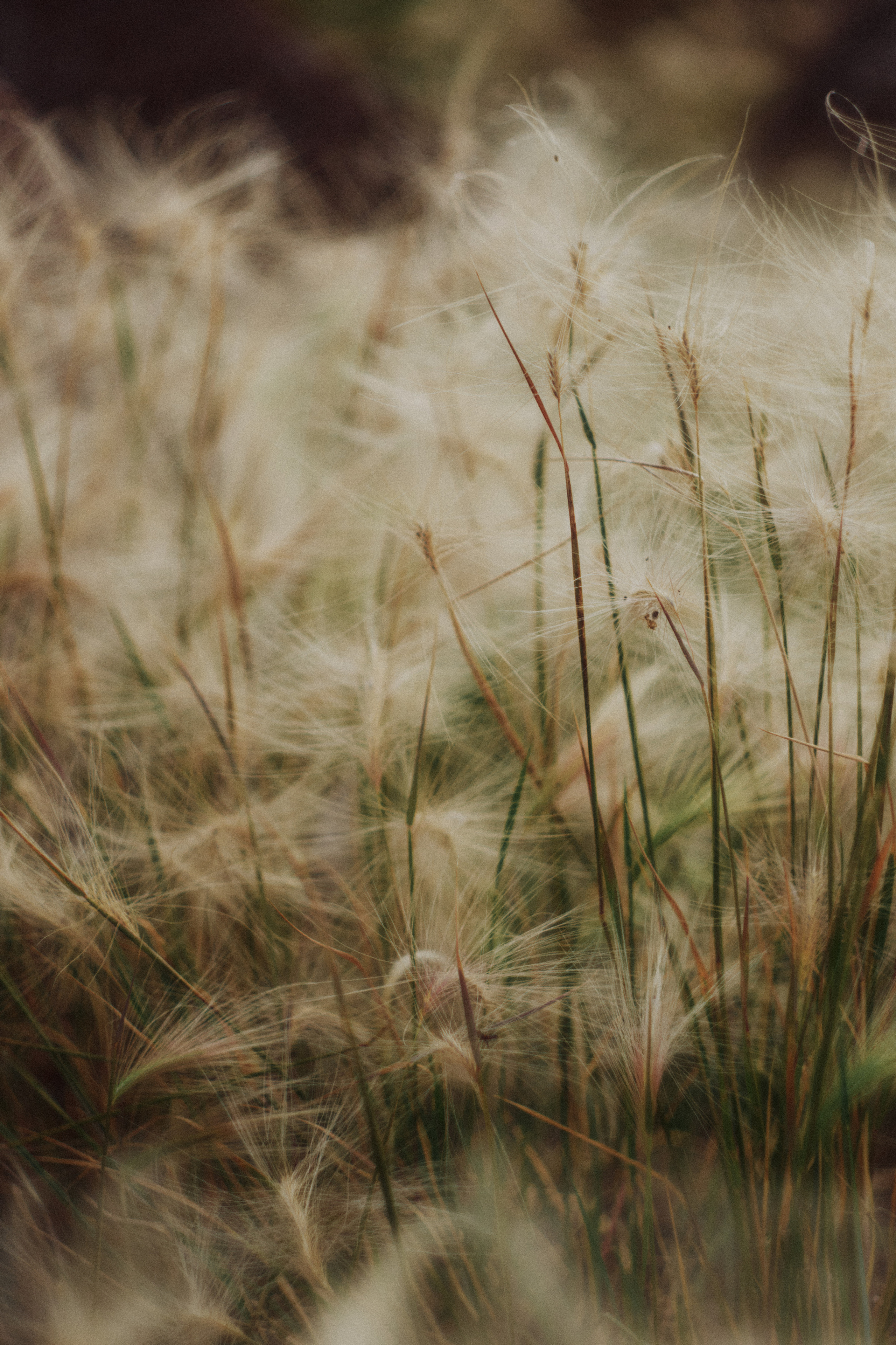 Сплав по Белой и озеро Аслыкуль | Июль 2022. Andrew Sozonov visual artist