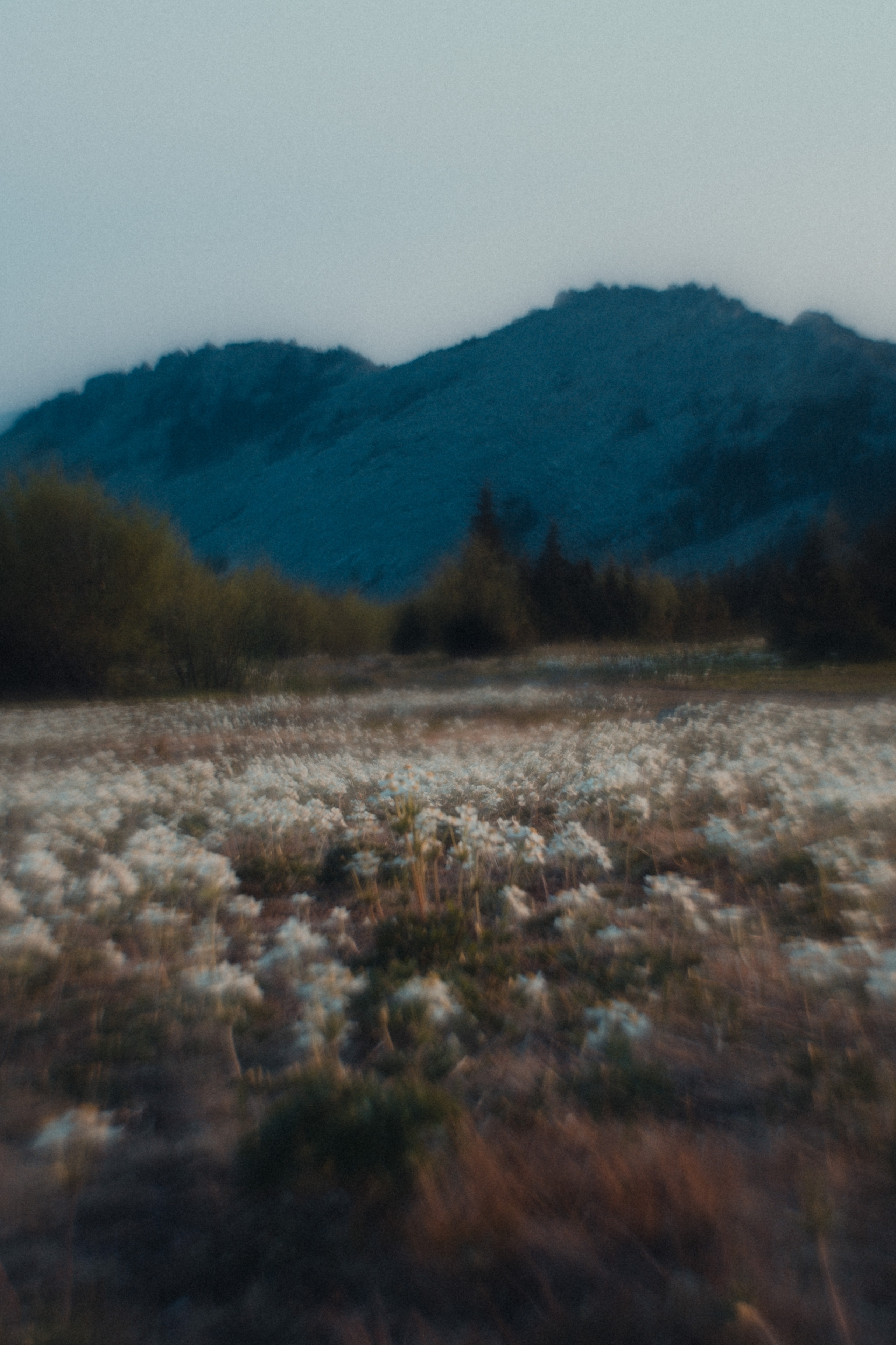 Таганай | Май 2023. Andrew Sozonov visual artist