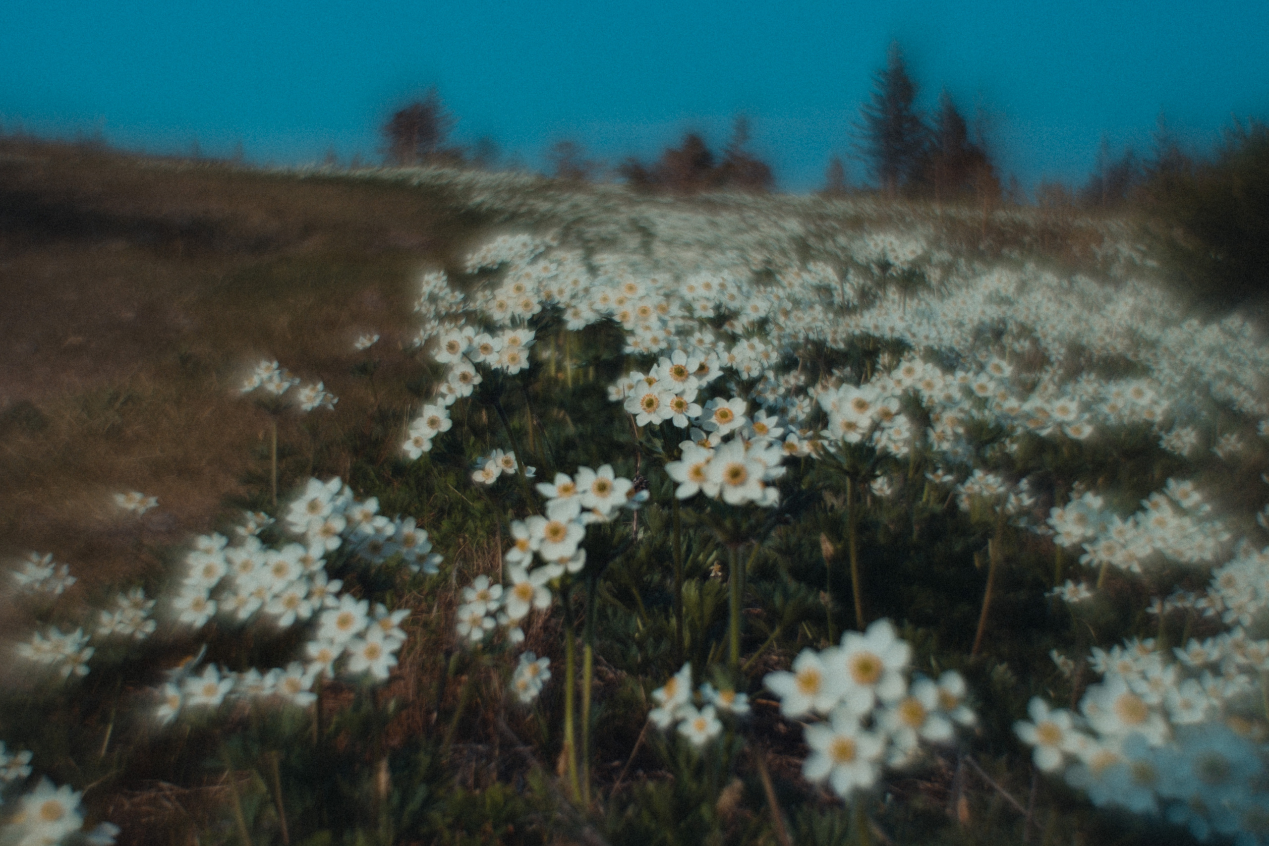 Таганай | Май 2023. Andrew Sozonov visual artist