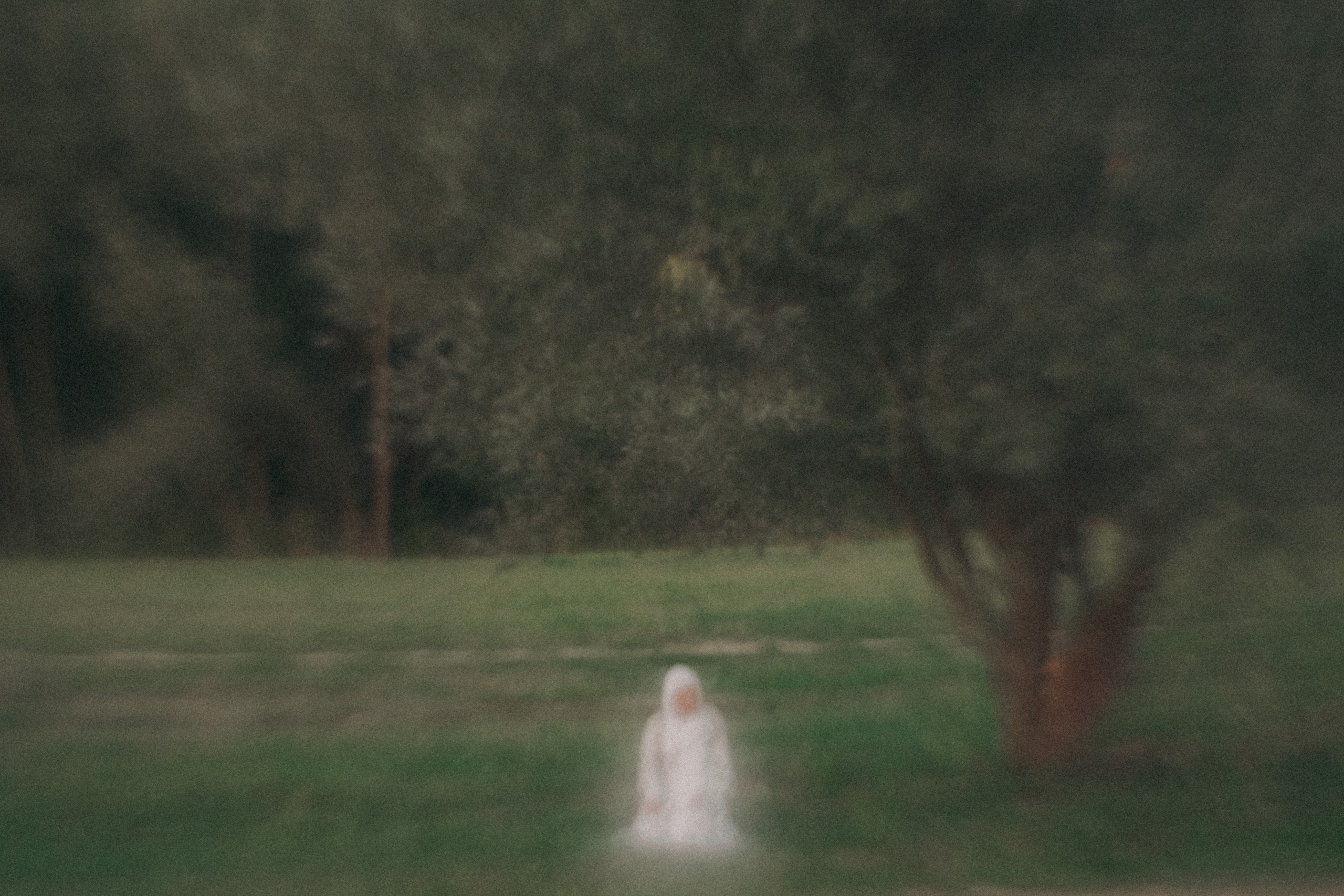 RE'ACTOR CAMP. Andrew Sozonov visual artist