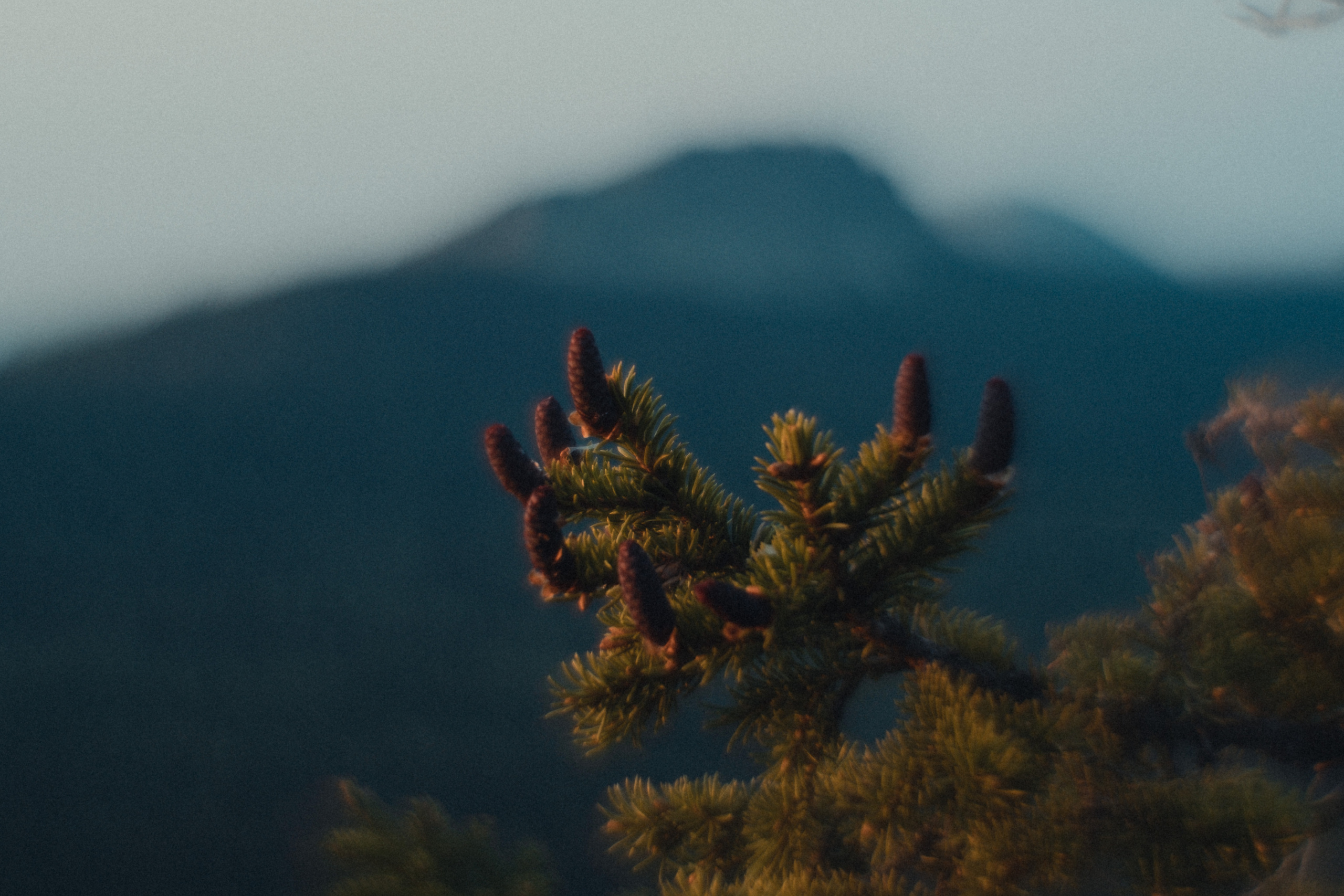 Таганай | Май 2023. Andrew Sozonov visual artist