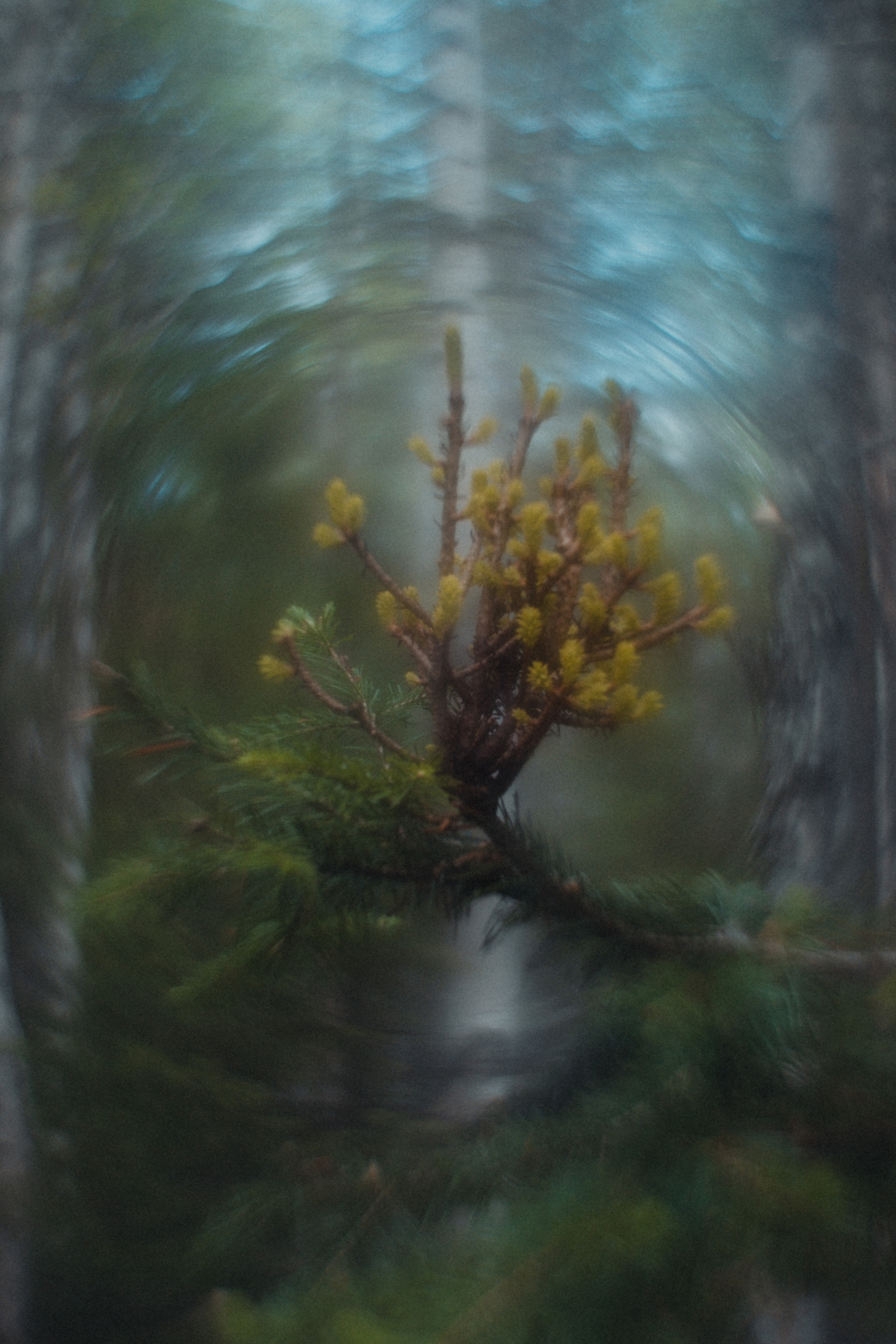 Таганай | Май 2023. Andrew Sozonov visual artist