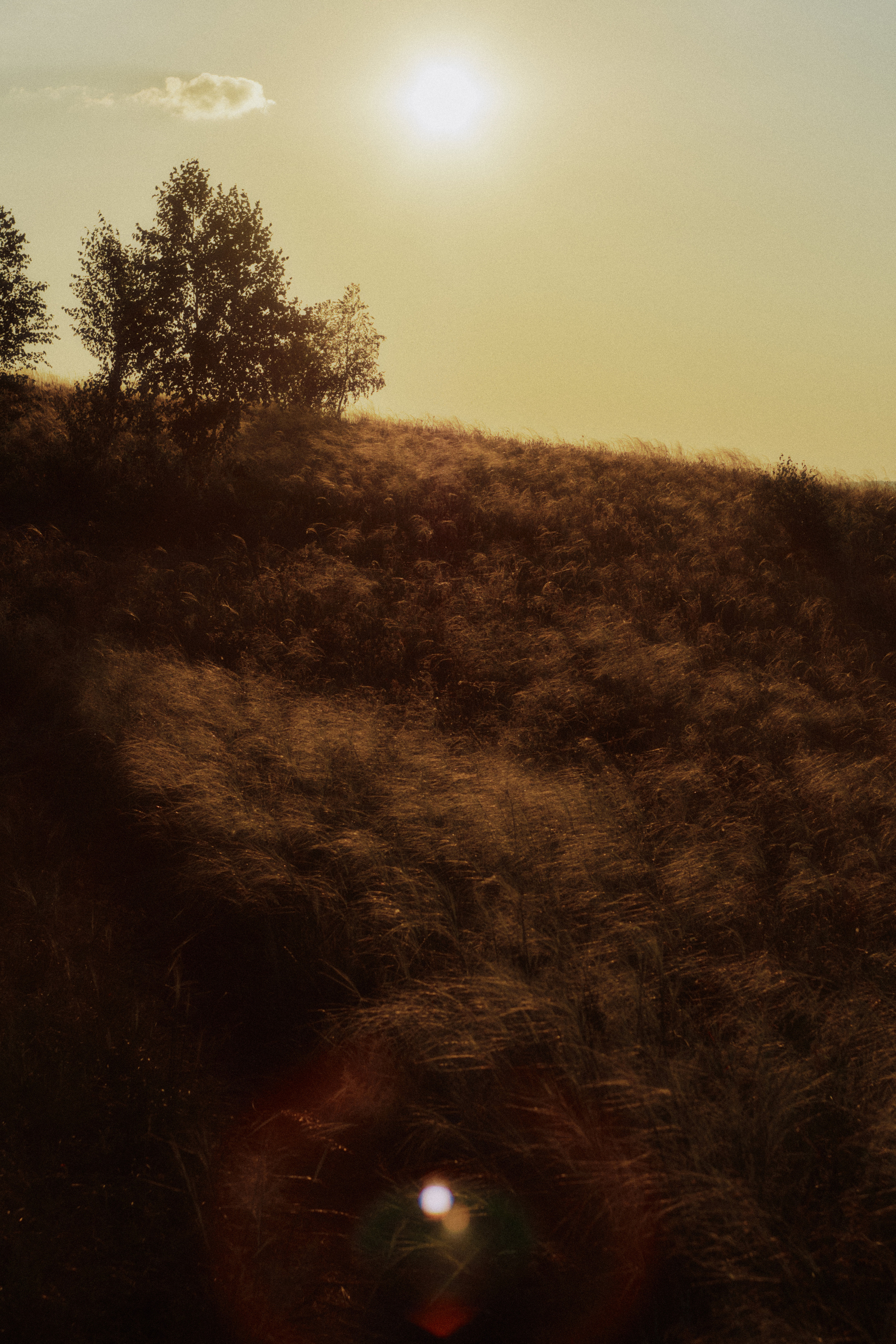 Сплав по Белой и озеро Аслыкуль | Июль 2022. Andrew Sozonov visual artist