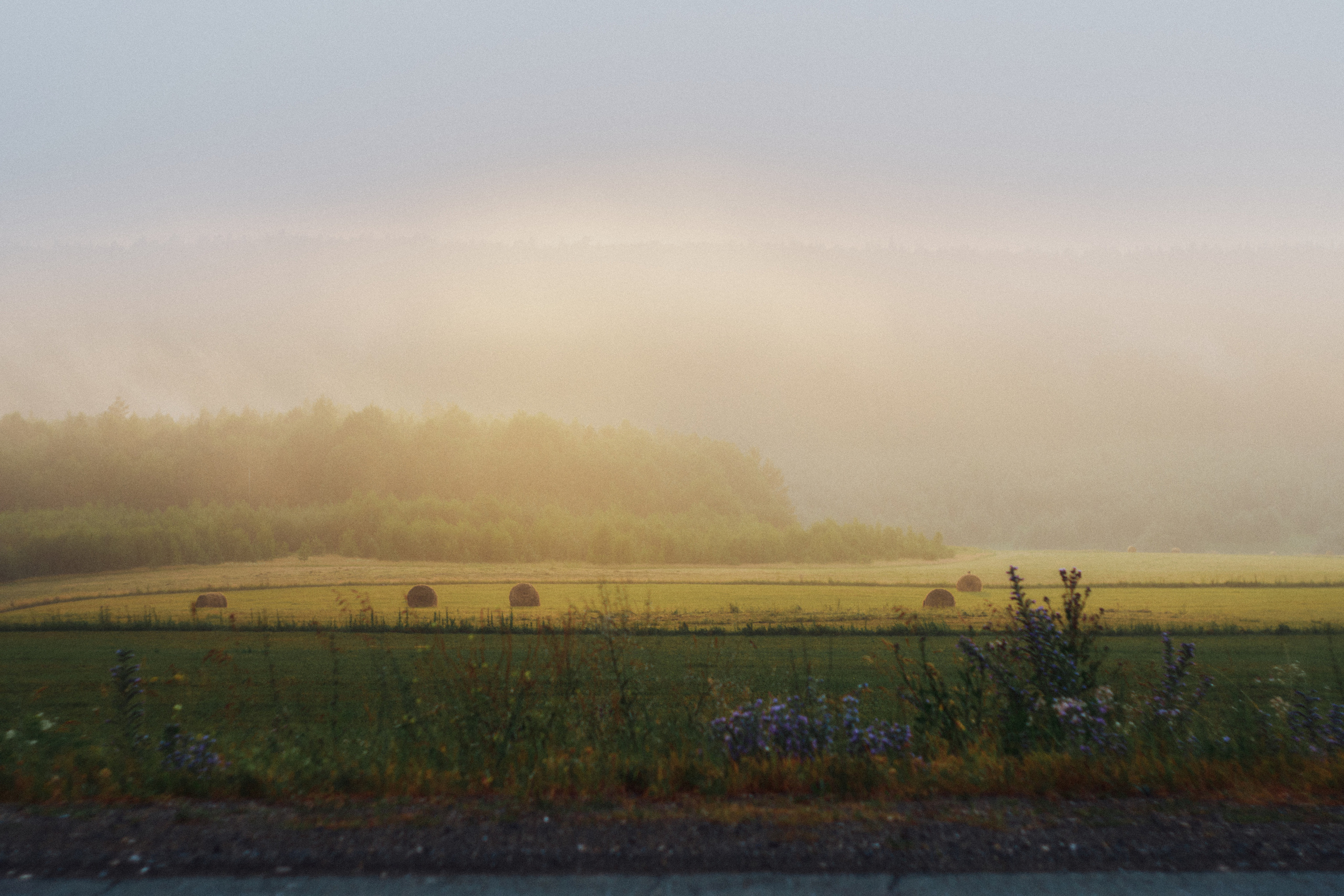Сплав по Белой и озеро Аслыкуль | Июль 2022. Andrew Sozonov visual artist