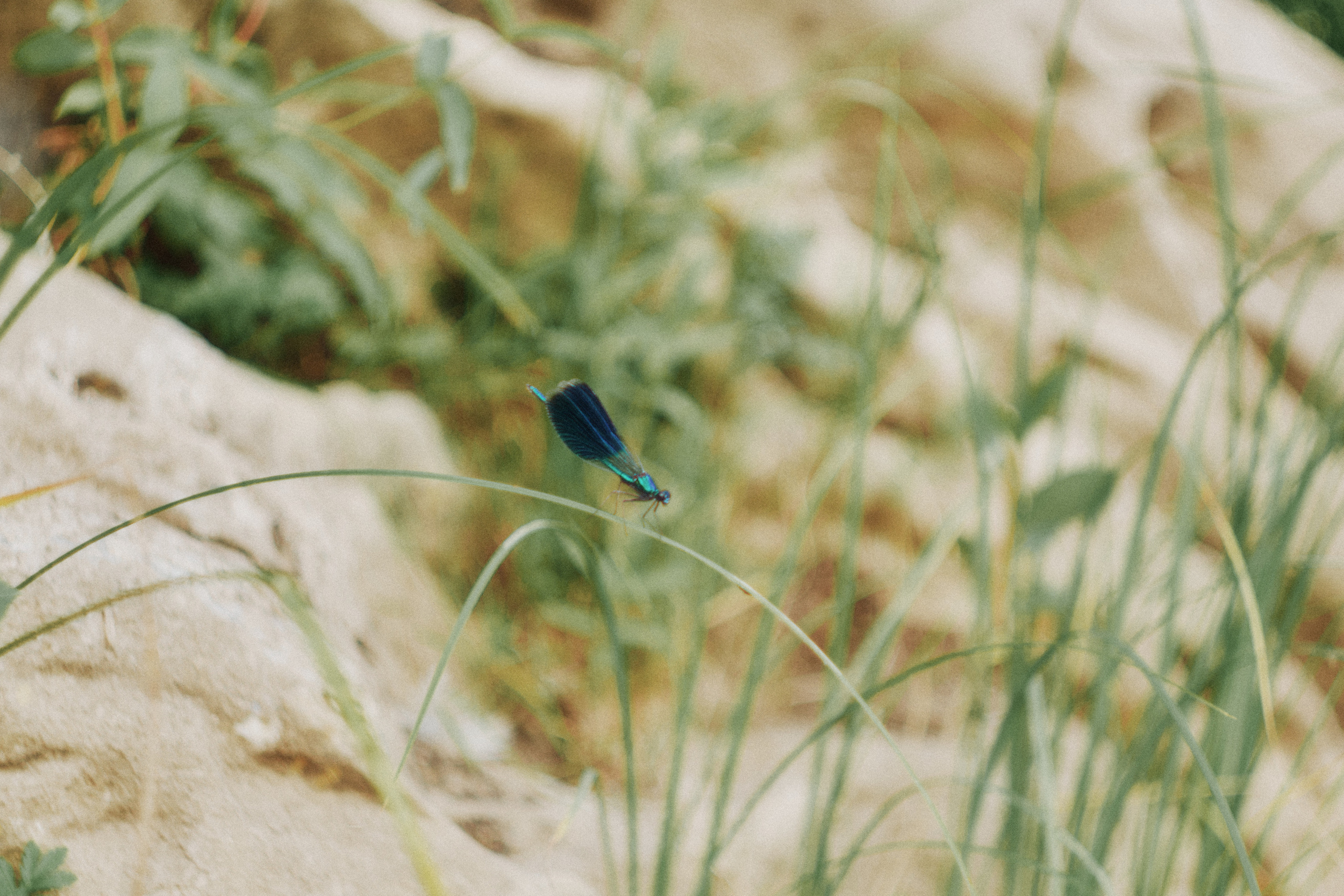 Сплав по Белой и озеро Аслыкуль | Июль 2022. Andrew Sozonov visual artist