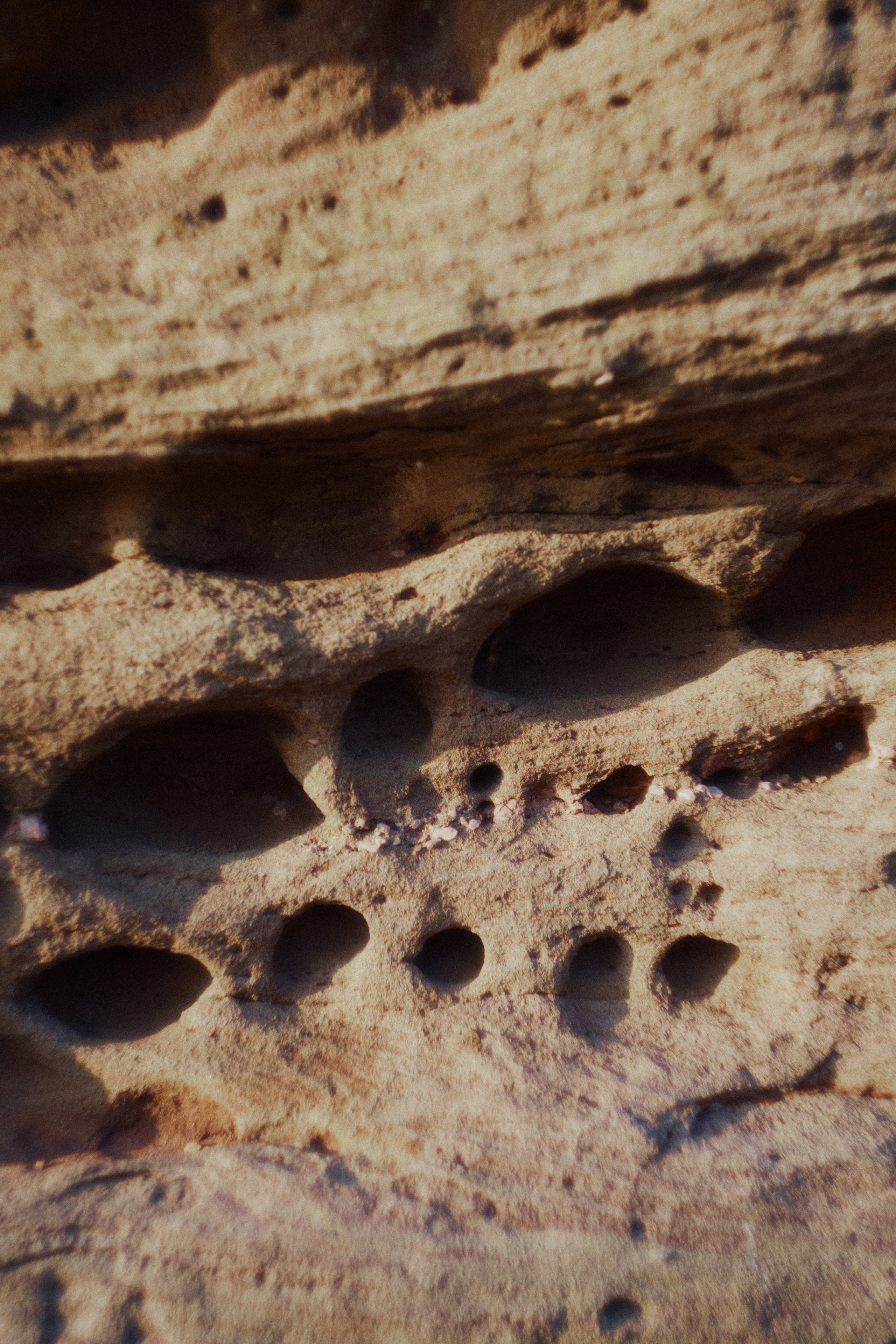 Сплав по Белой и озеро Аслыкуль | Июль 2022. Andrew Sozonov visual artist