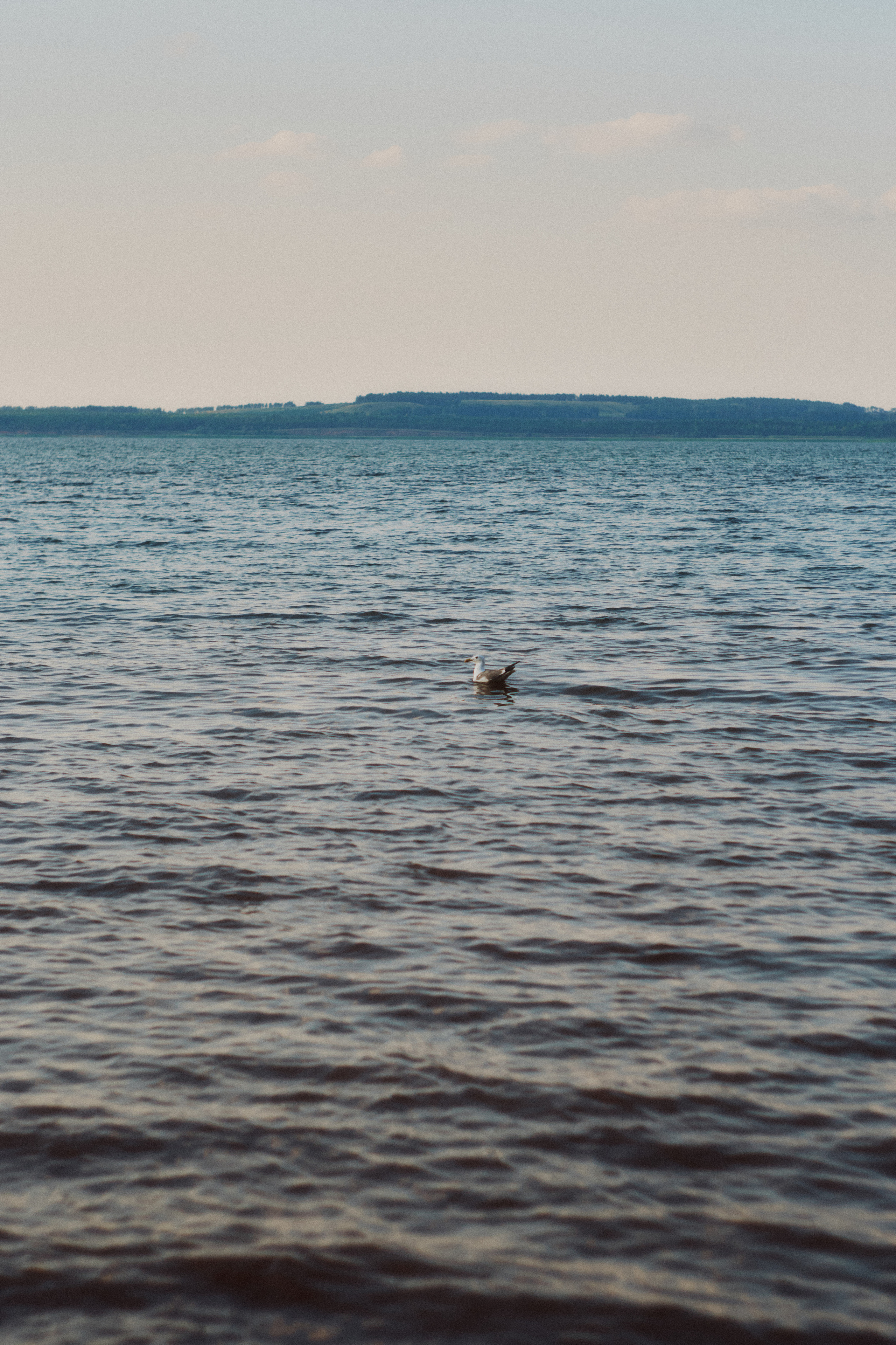 Сплав по Белой и озеро Аслыкуль | Июль 2022. Andrew Sozonov visual artist