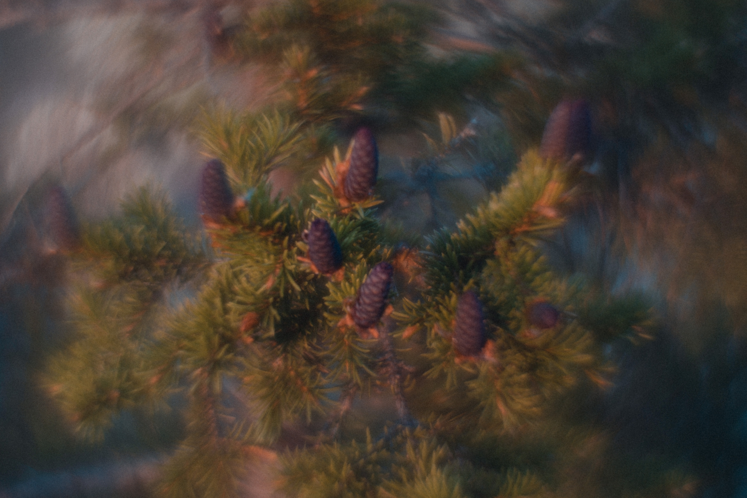 Таганай | Май 2023. Andrew Sozonov visual artist