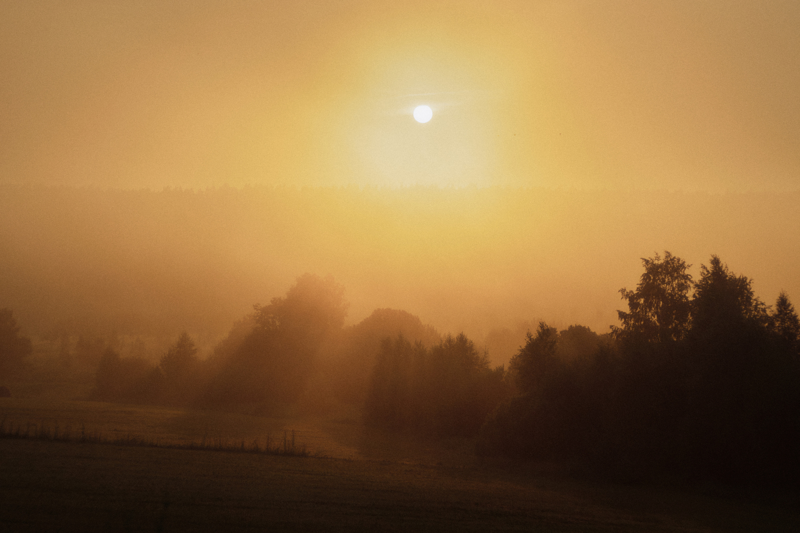 Сплав по Белой и озеро Аслыкуль | Июль 2022. Andrew Sozonov visual artist