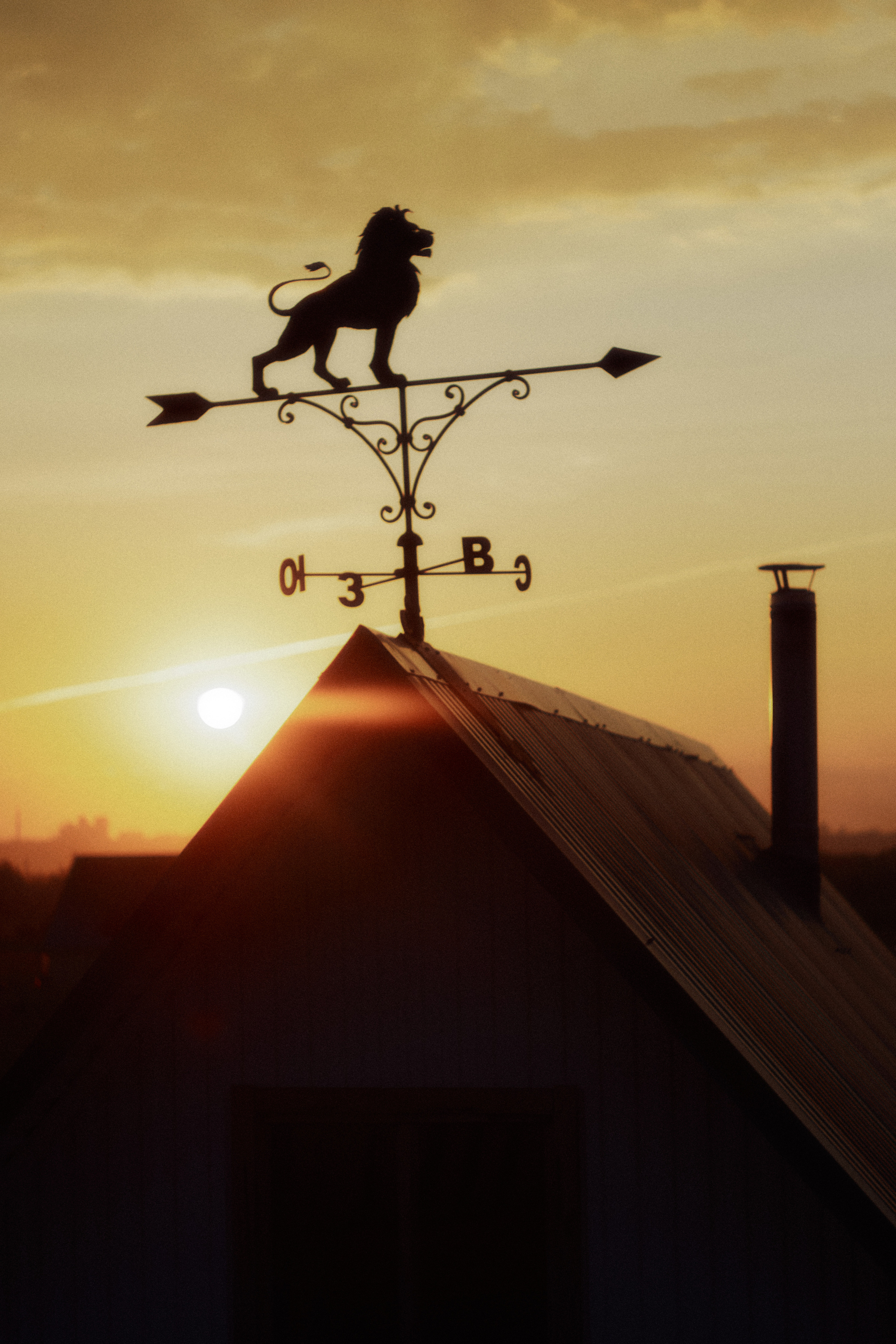 2022. Andrew Sozonov visual artist