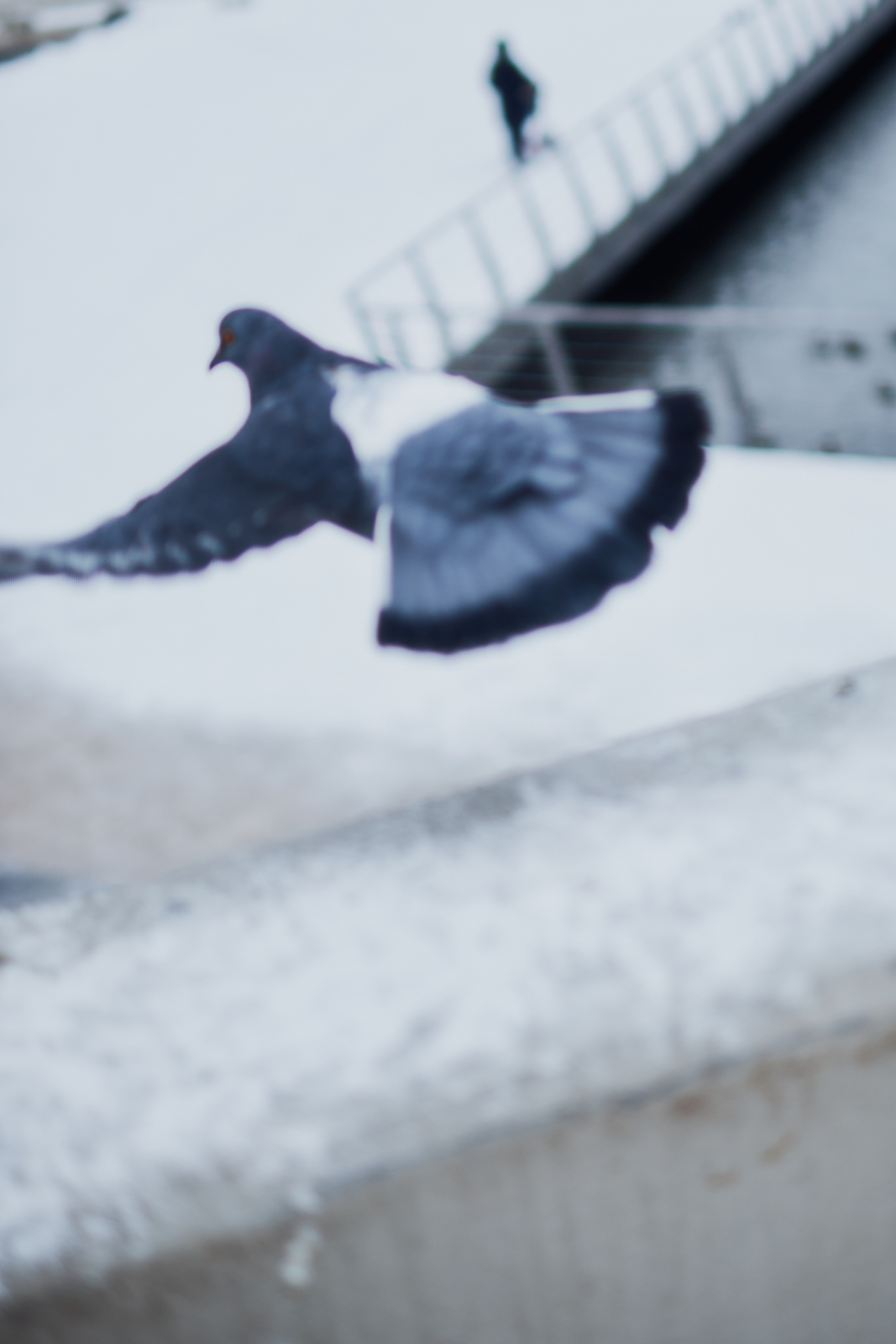 2022. Andrew Sozonov visual artist