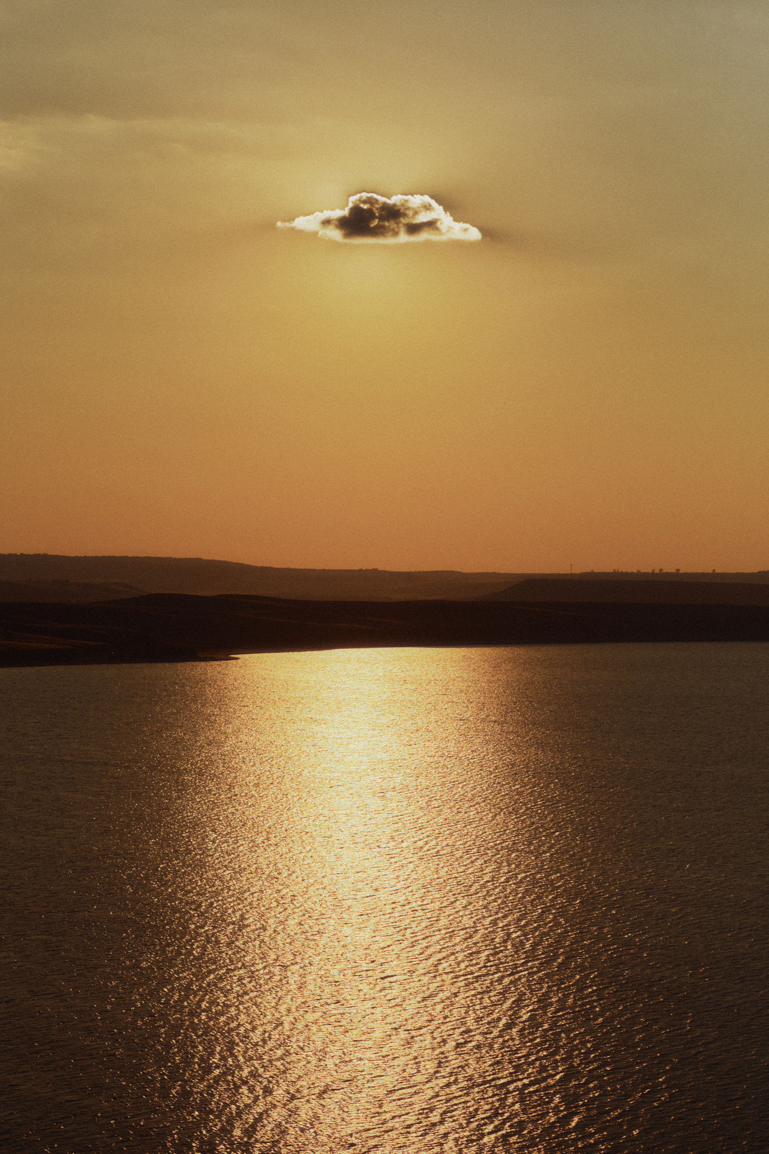 2022. Andrew Sozonov visual artist