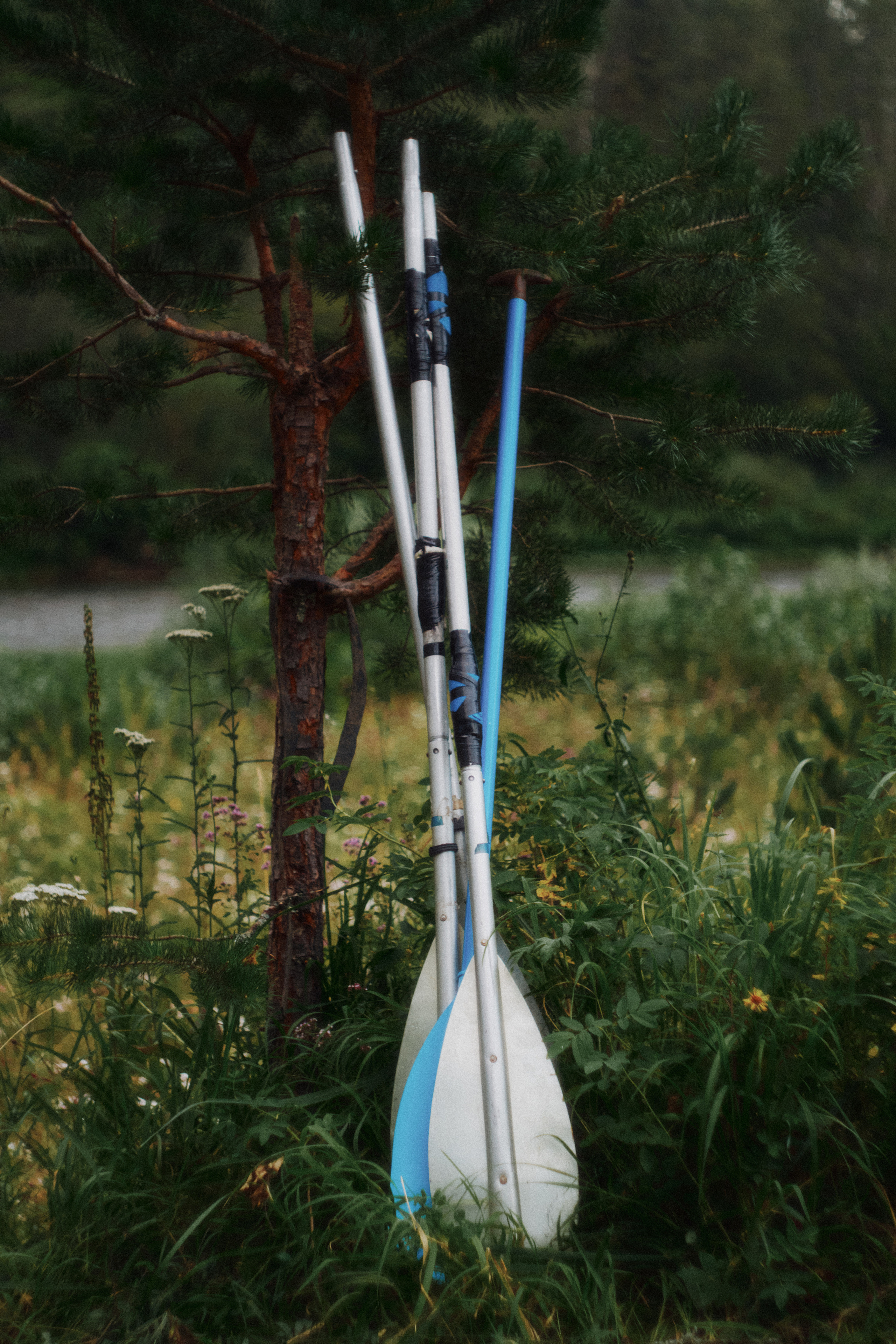 Сплав по Белой и озеро Аслыкуль | Июль 2022. Andrew Sozonov visual artist