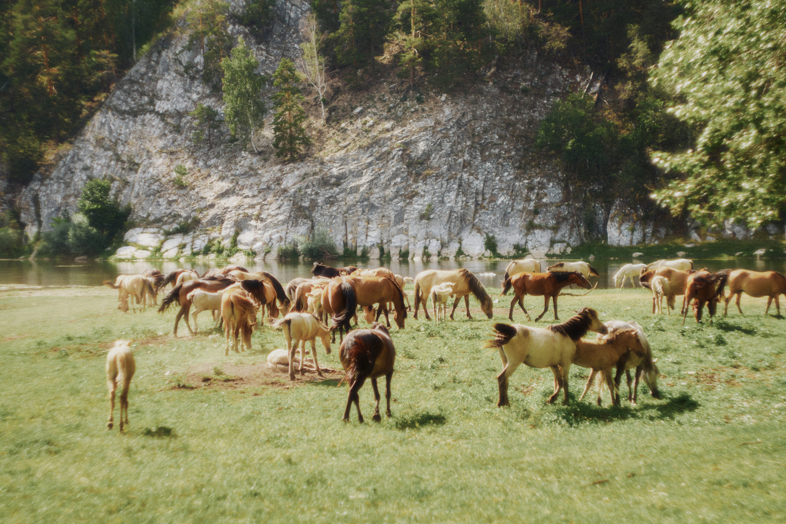 Сплав по Белой и озеро Аслыкуль | Июль 2022. Andrew Sozonov visual artist
