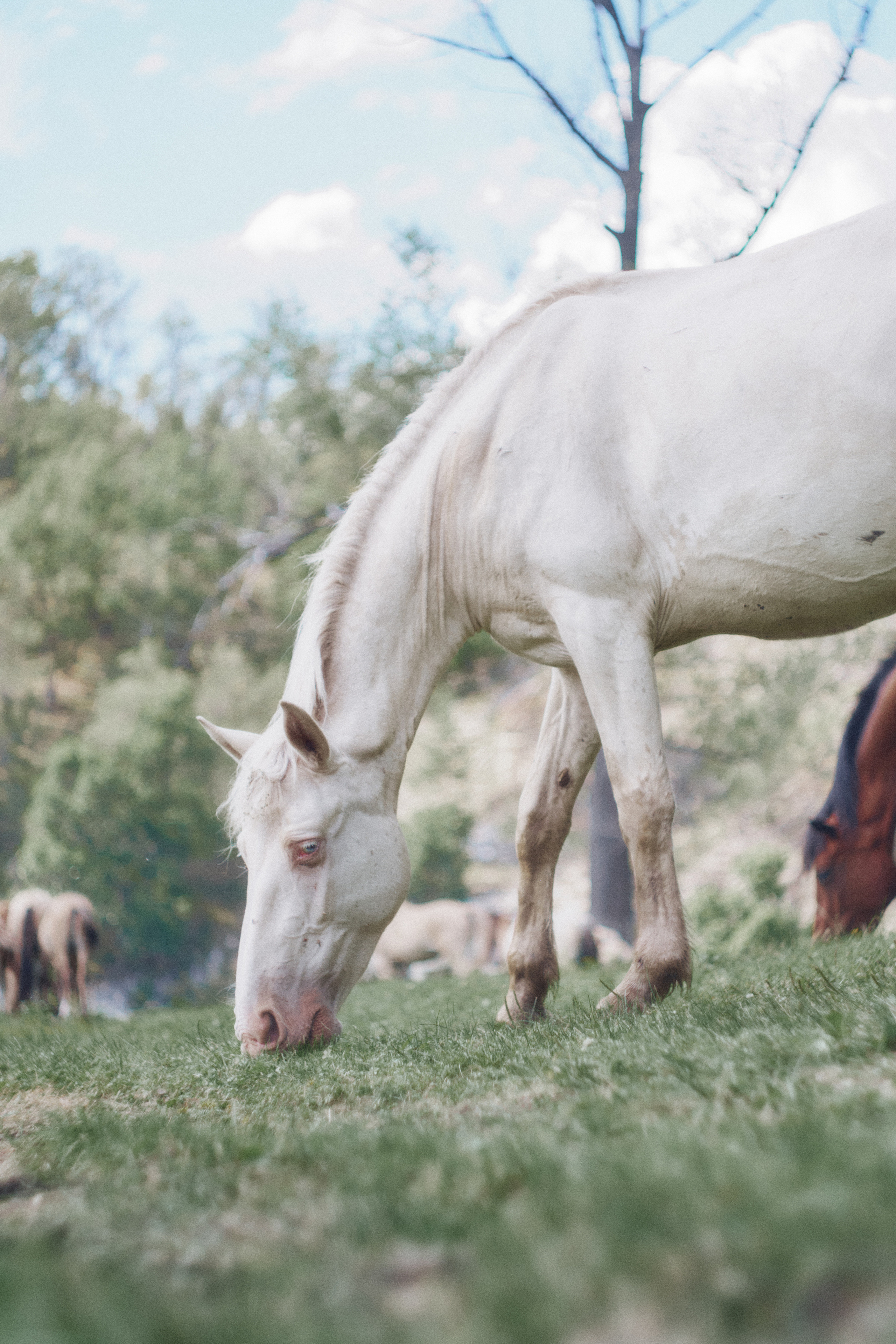 Сплав по Белой и озеро Аслыкуль | Июль 2022. Andrew Sozonov visual artist
