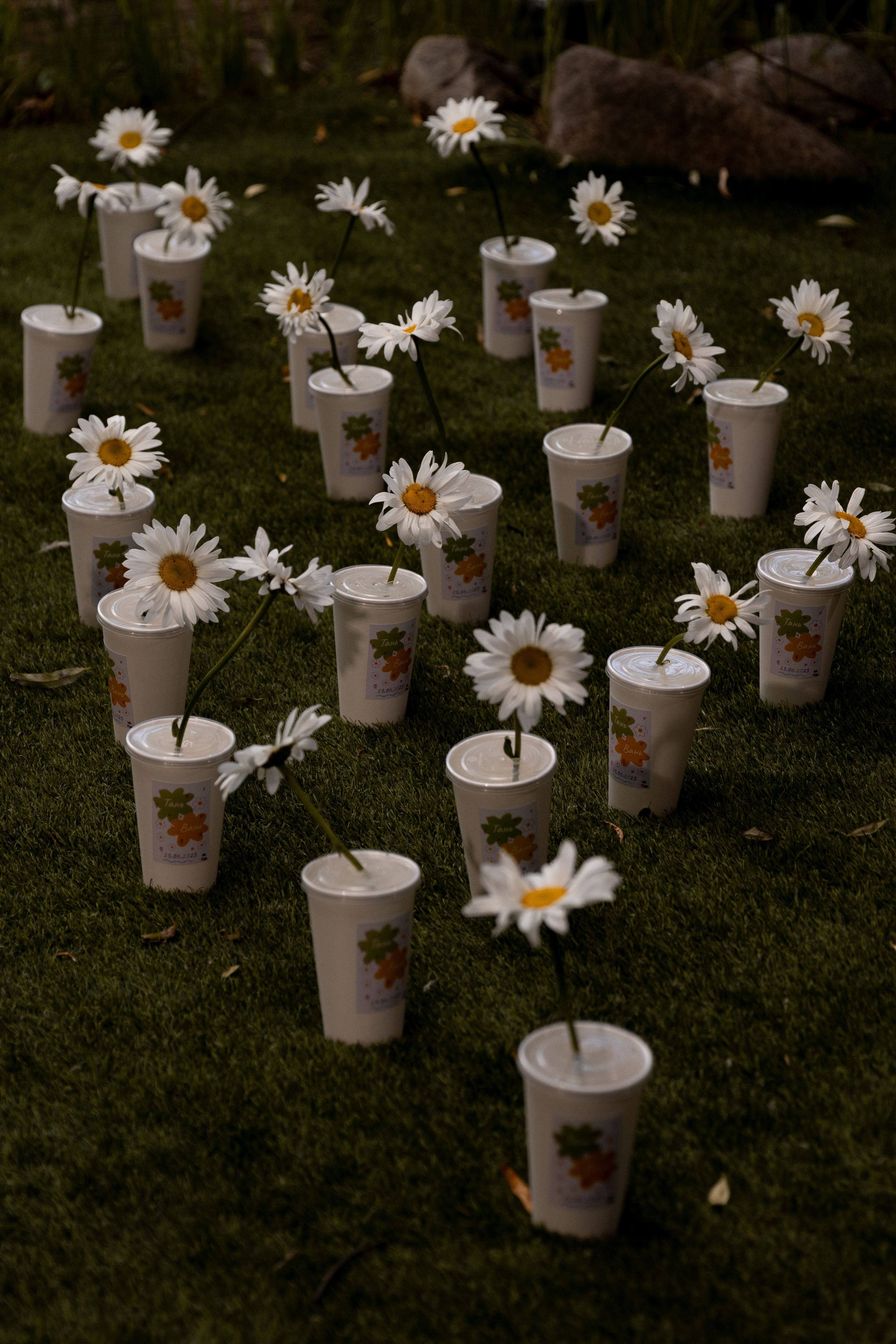 Таня и Ваня, площадка «Таёжный». Свадебный фотограф | Москва