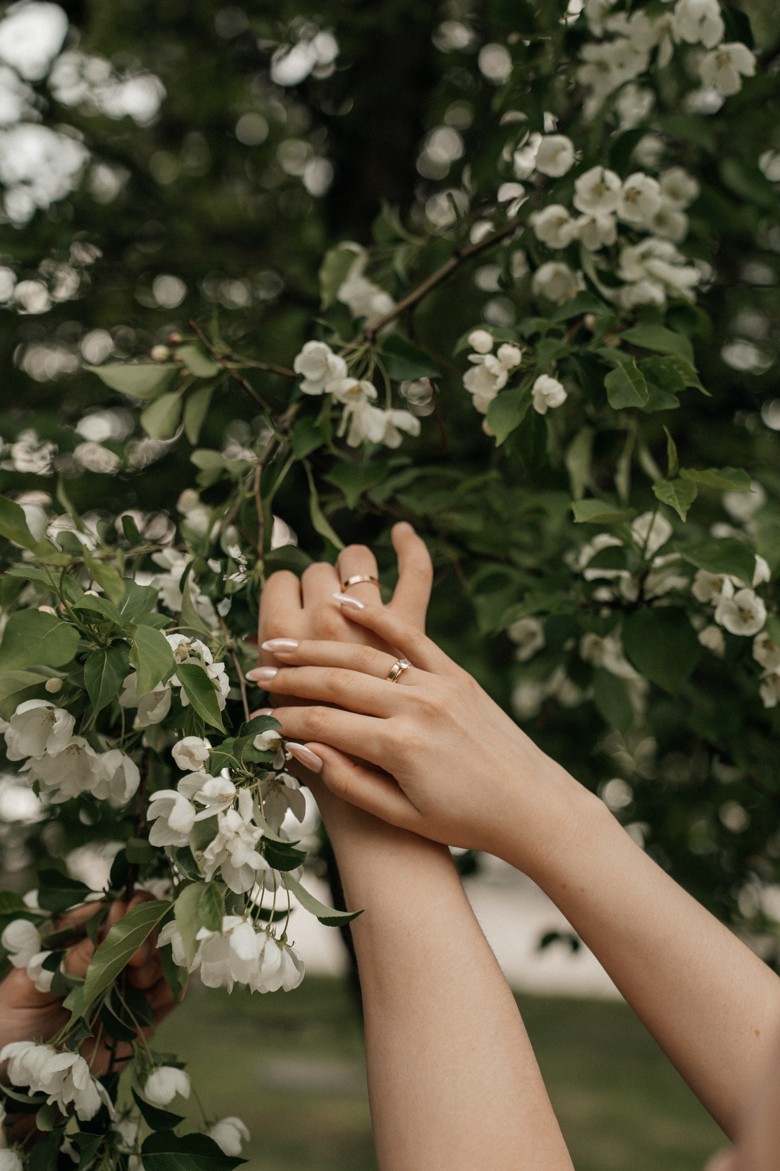 L & A. Фотограф в Архангельске