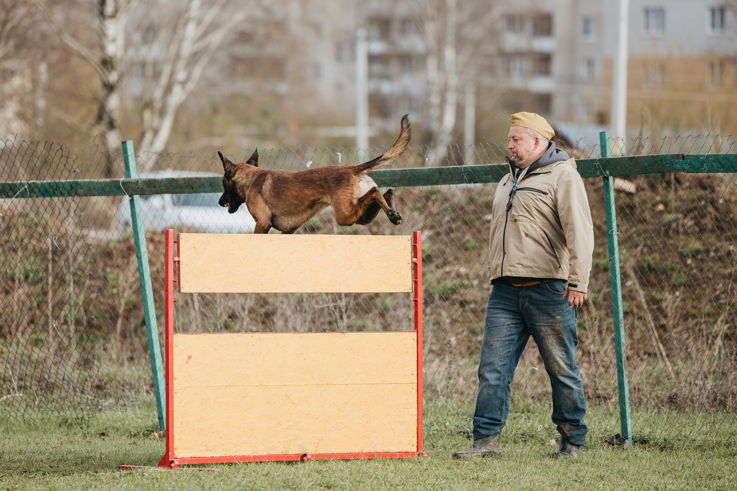 09.05.25 Вологда соревнования. Фотограф-анималист Анна Маринич