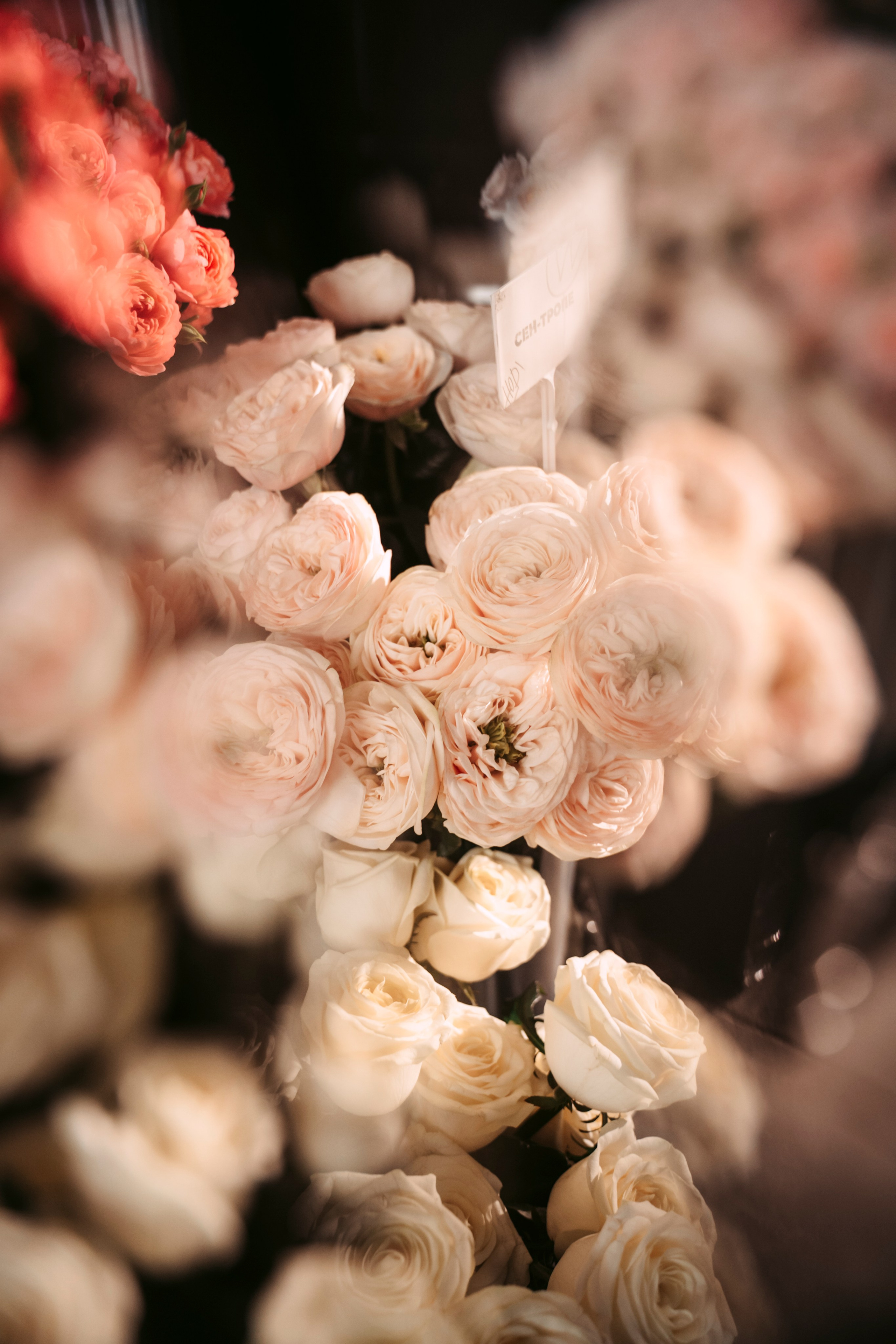 Цветочный андеграунд. Главная