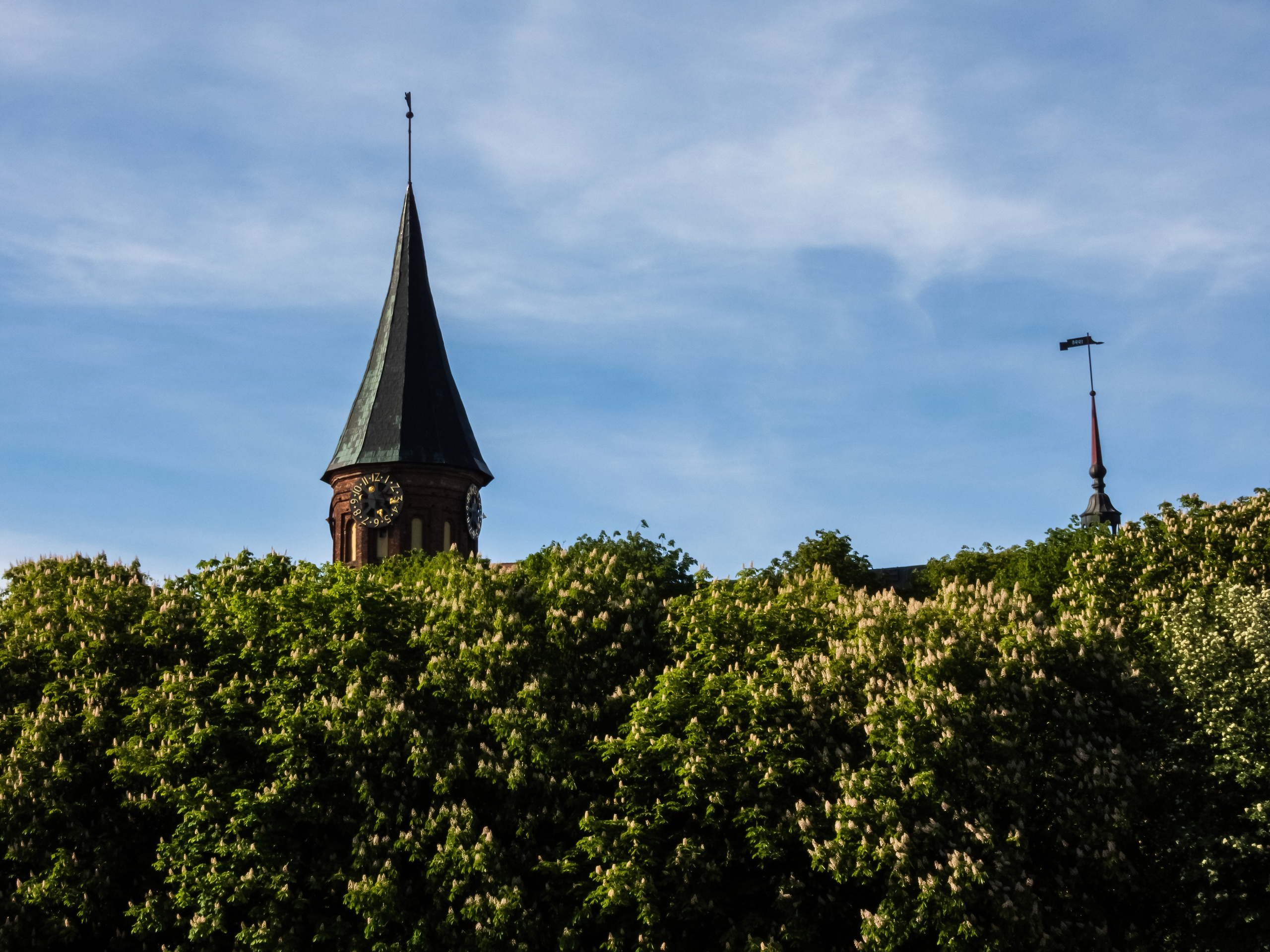 Остров Канта и Рыбная деревня. AI-контент (генерации ИИ-фото и видео), стоковые фотографии Калининградской области