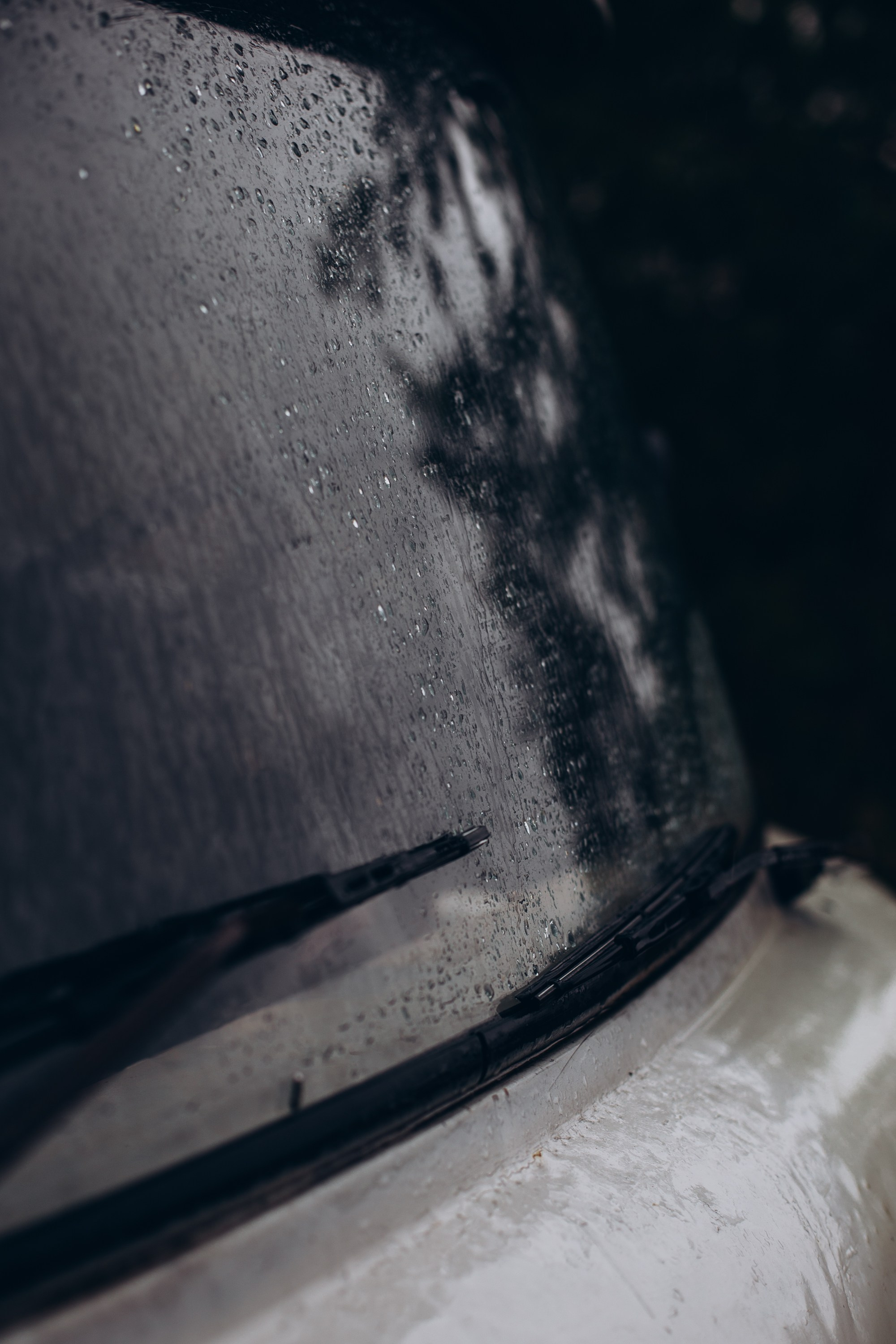 Посадка деревьев в Усть-Донецком районе. Артём Панфилов — Свадебный и семейный фотограф в Ростове-на-Дону