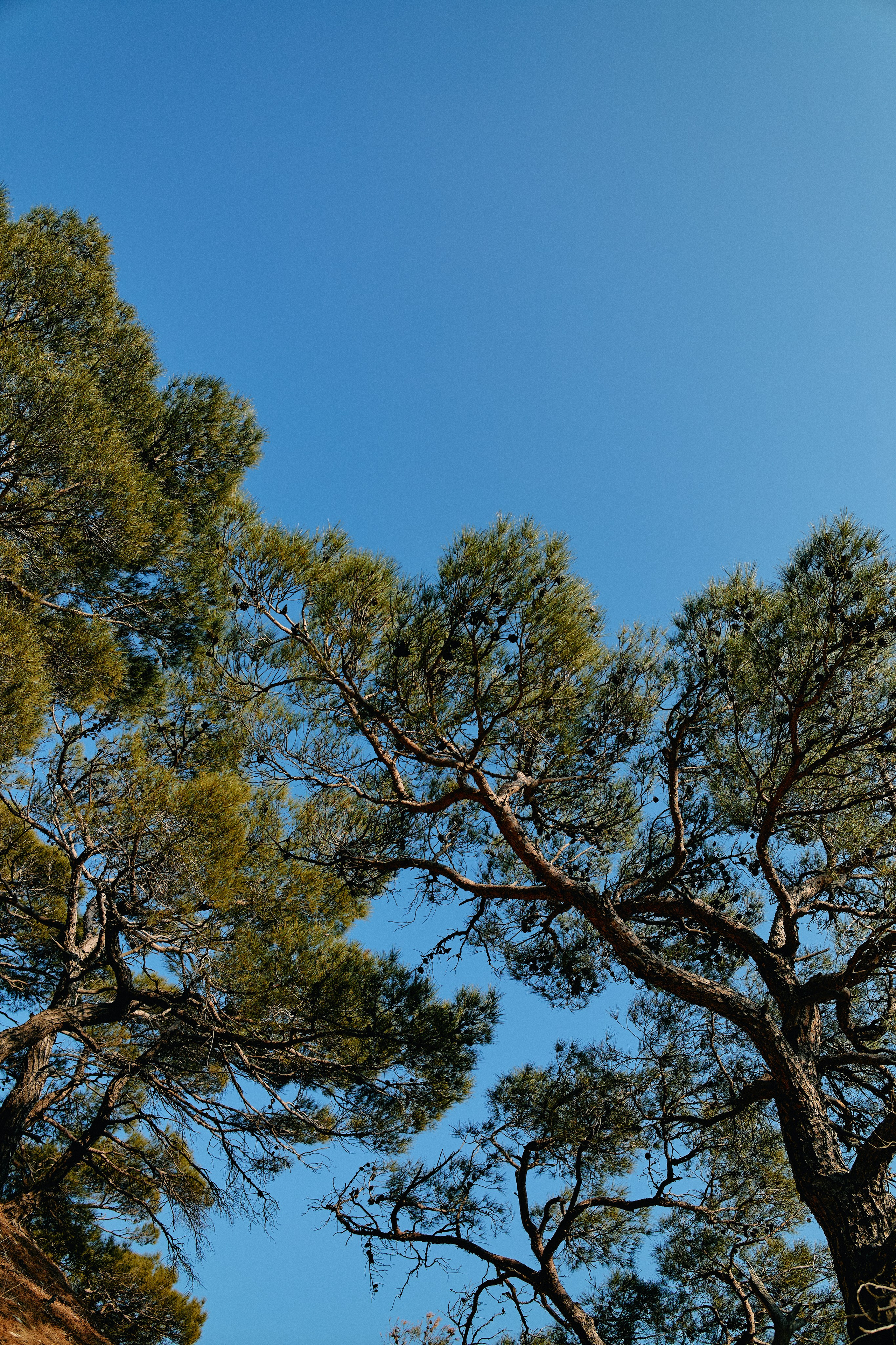 Юг России. Профессиональный Фотограф во Владимире, в Москве и в Суздале — Полина Романычева