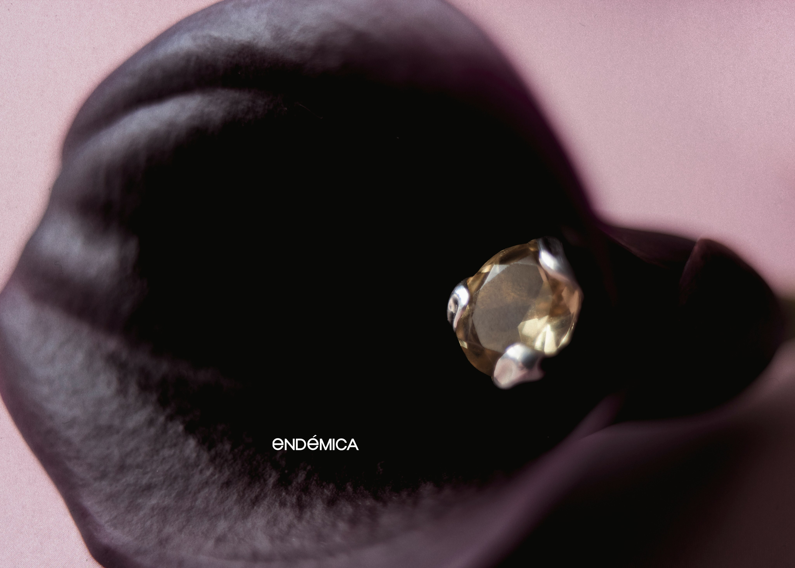 Endemica. ㅤ