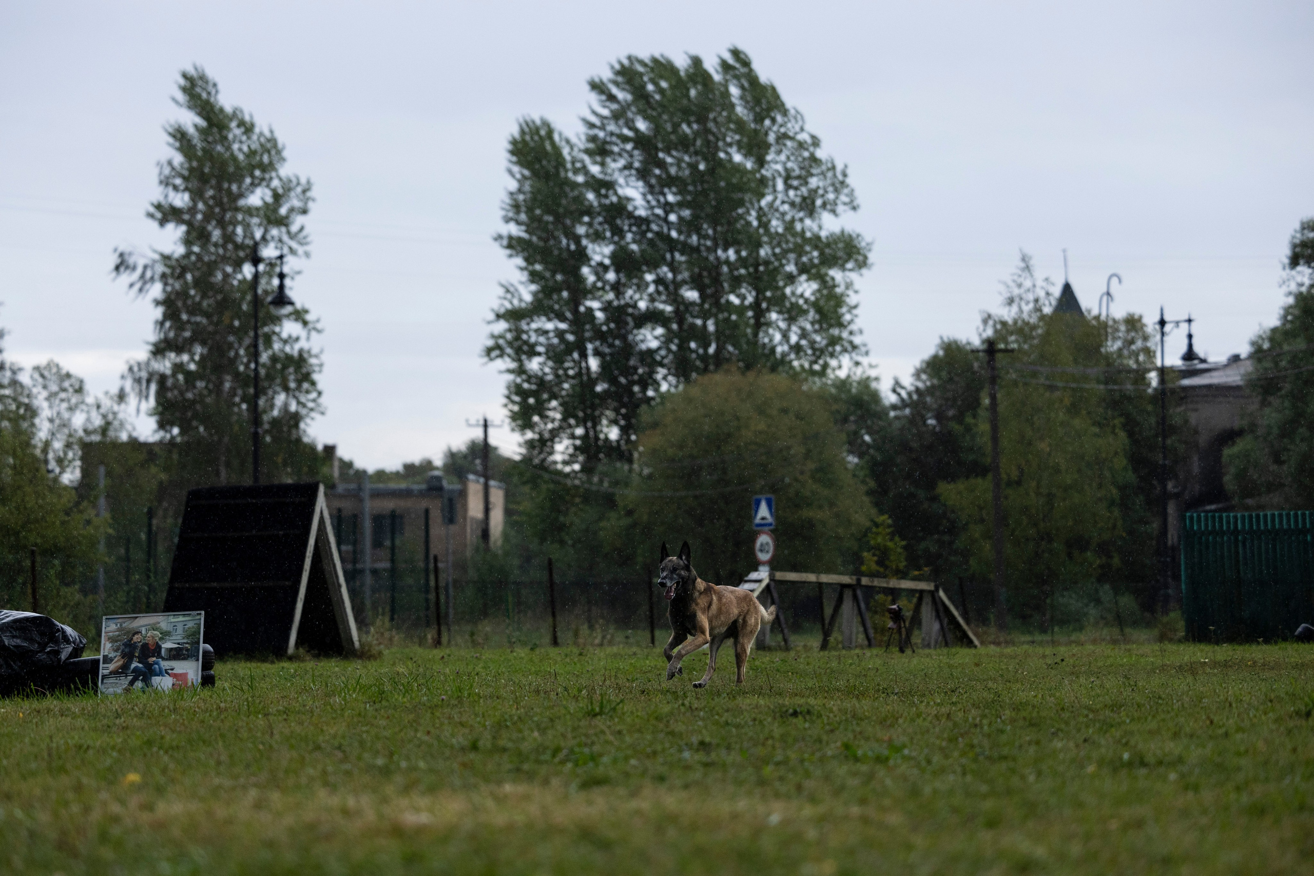 Испытания по Мондьорингу г. Пушкин. Фотограф-анималист Анна Маринич