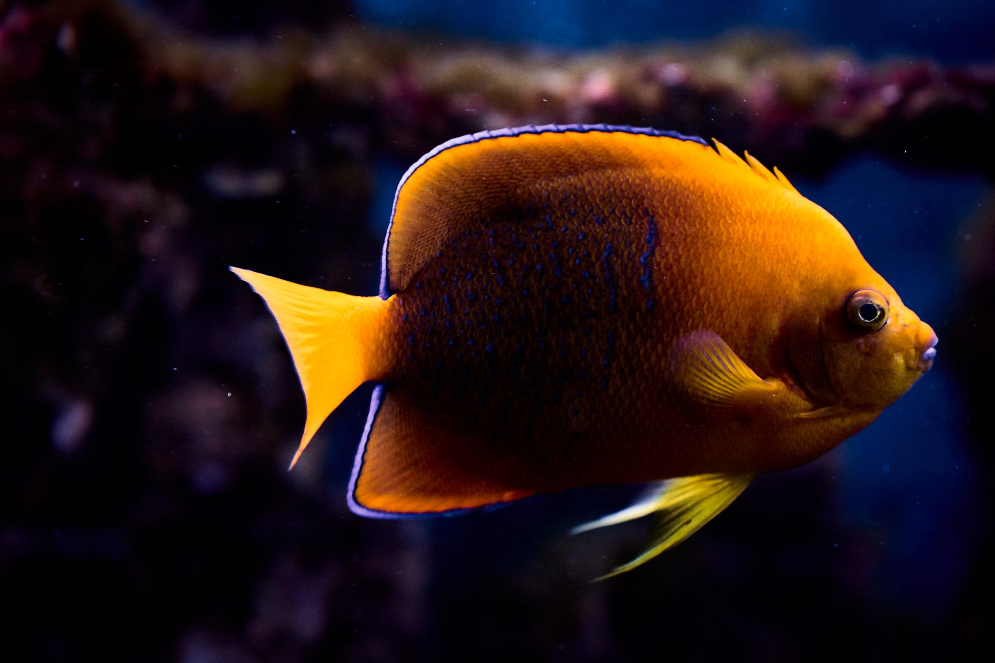 ZOO. ФОТОГРАФ ЕКАТЕРИНБУРГ