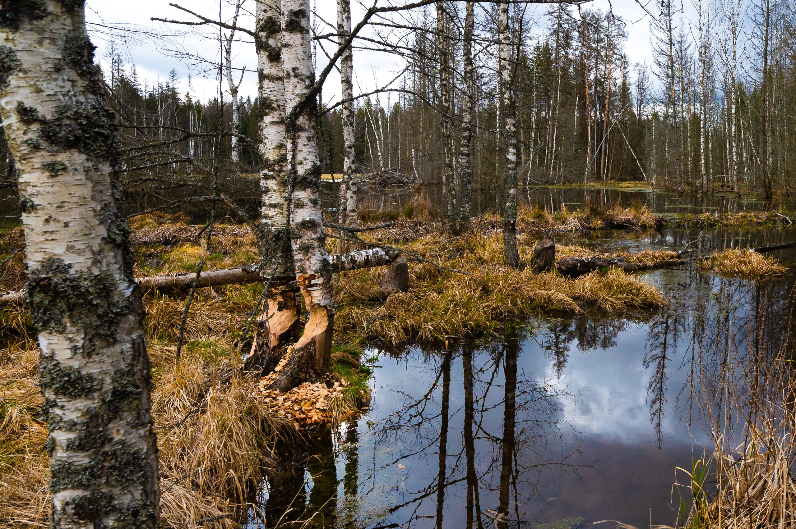 Пейзажи и архитектура. Портретный фотограф в Москве Евгений Кемайкин