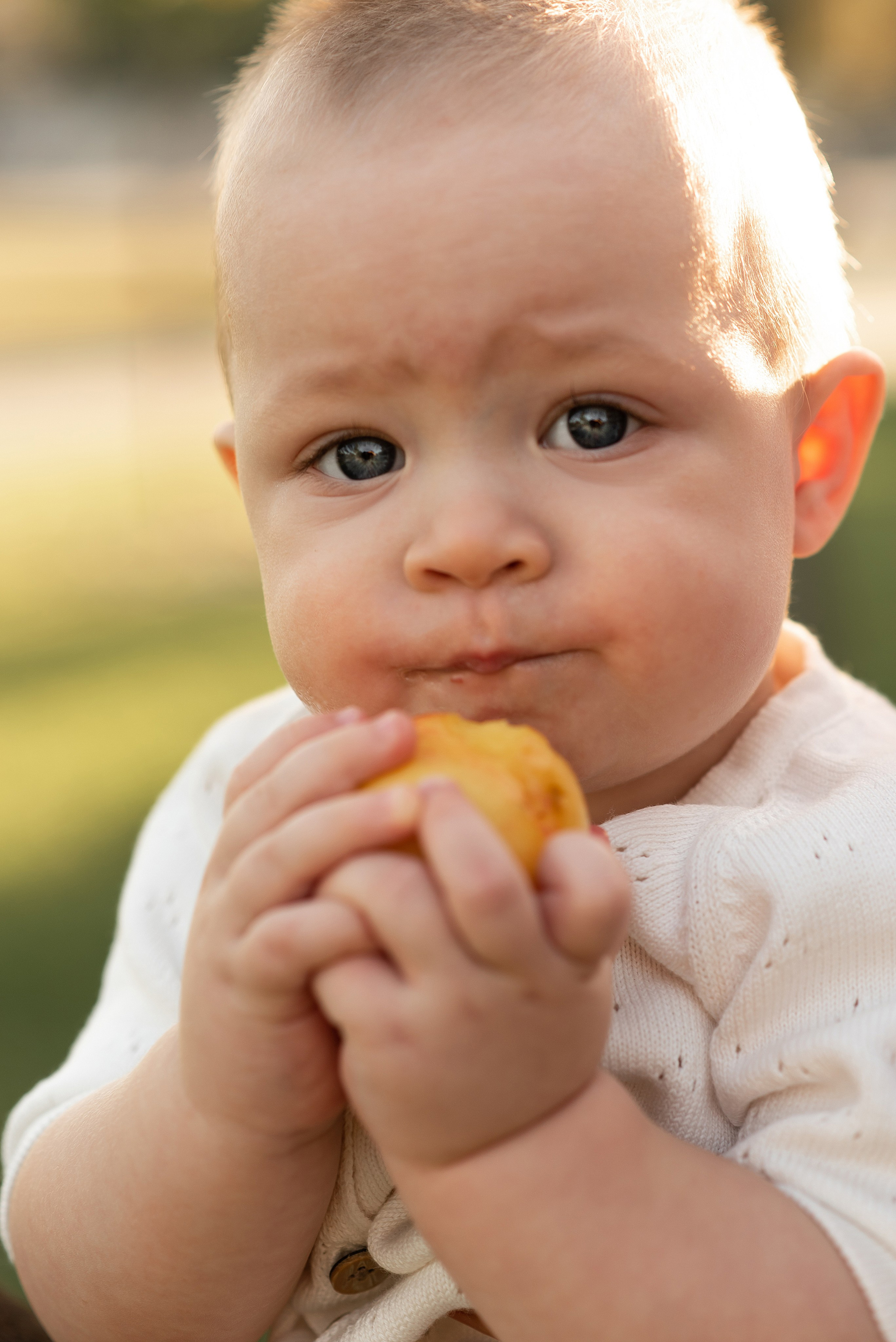 Пикник в парке. Главная