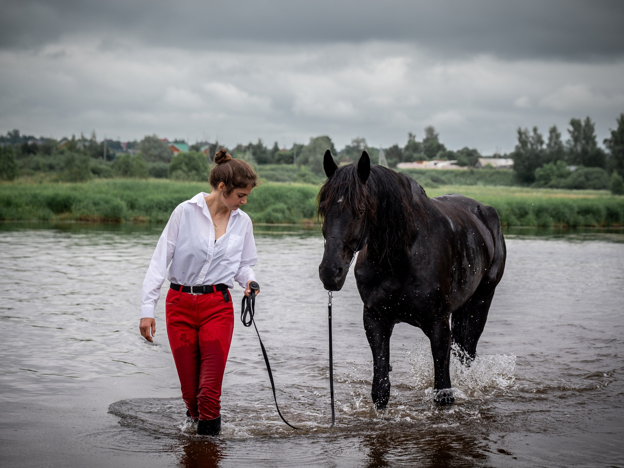 Люди и лошади!. Зоофотограф, фотограф животных в Москве и области Дина Дамоцева