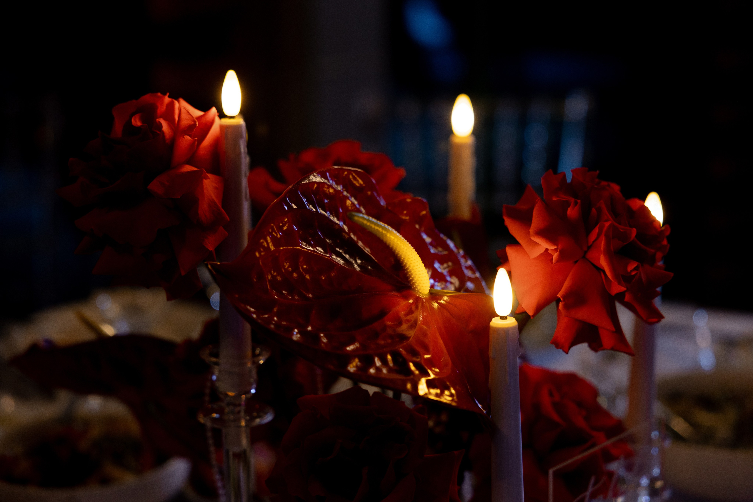 M & Y. Свадебный фотограф Ефимова Ольга