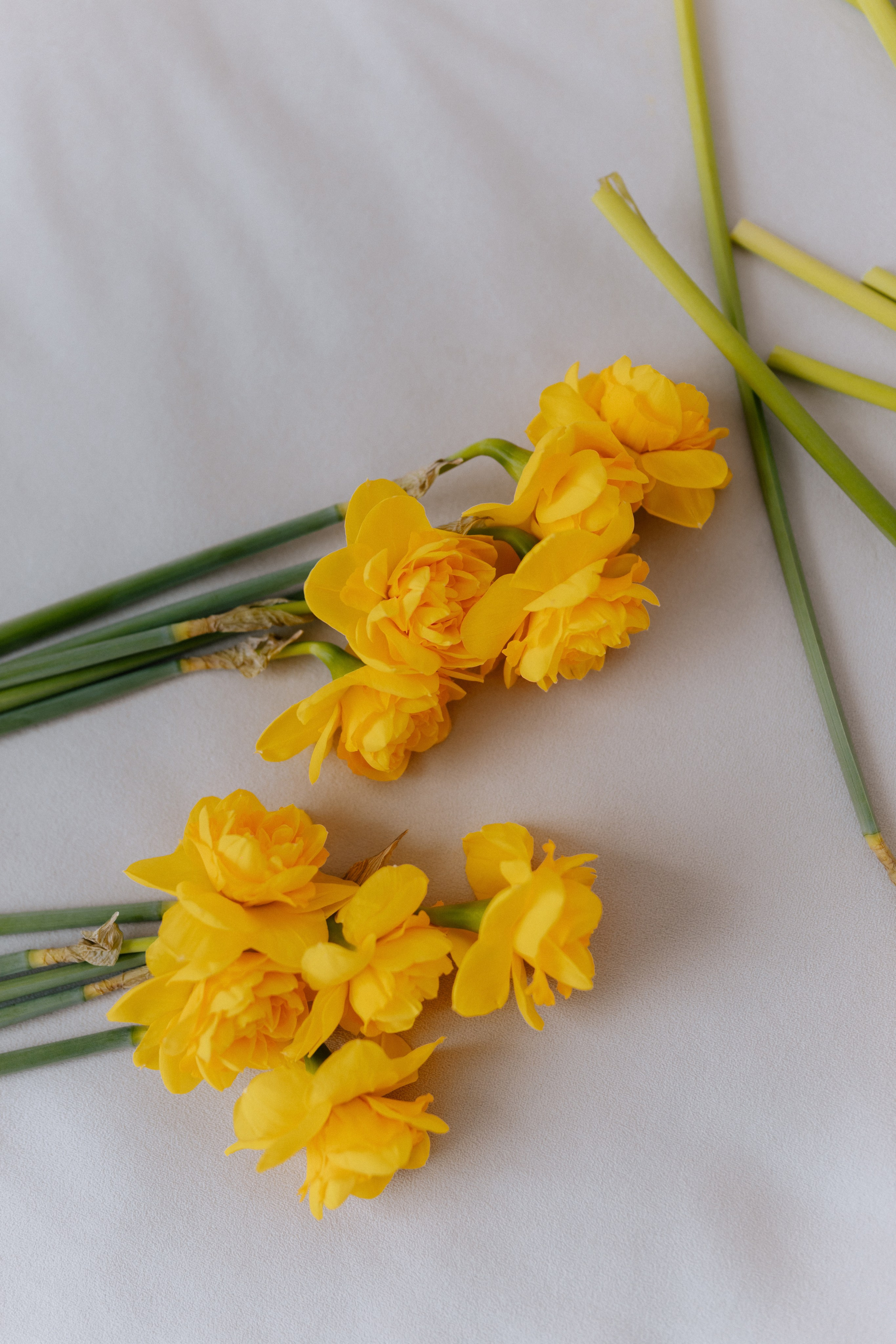 Лиля и Ева. Ланемец Юлия — фотограф Волгоград/Волжский