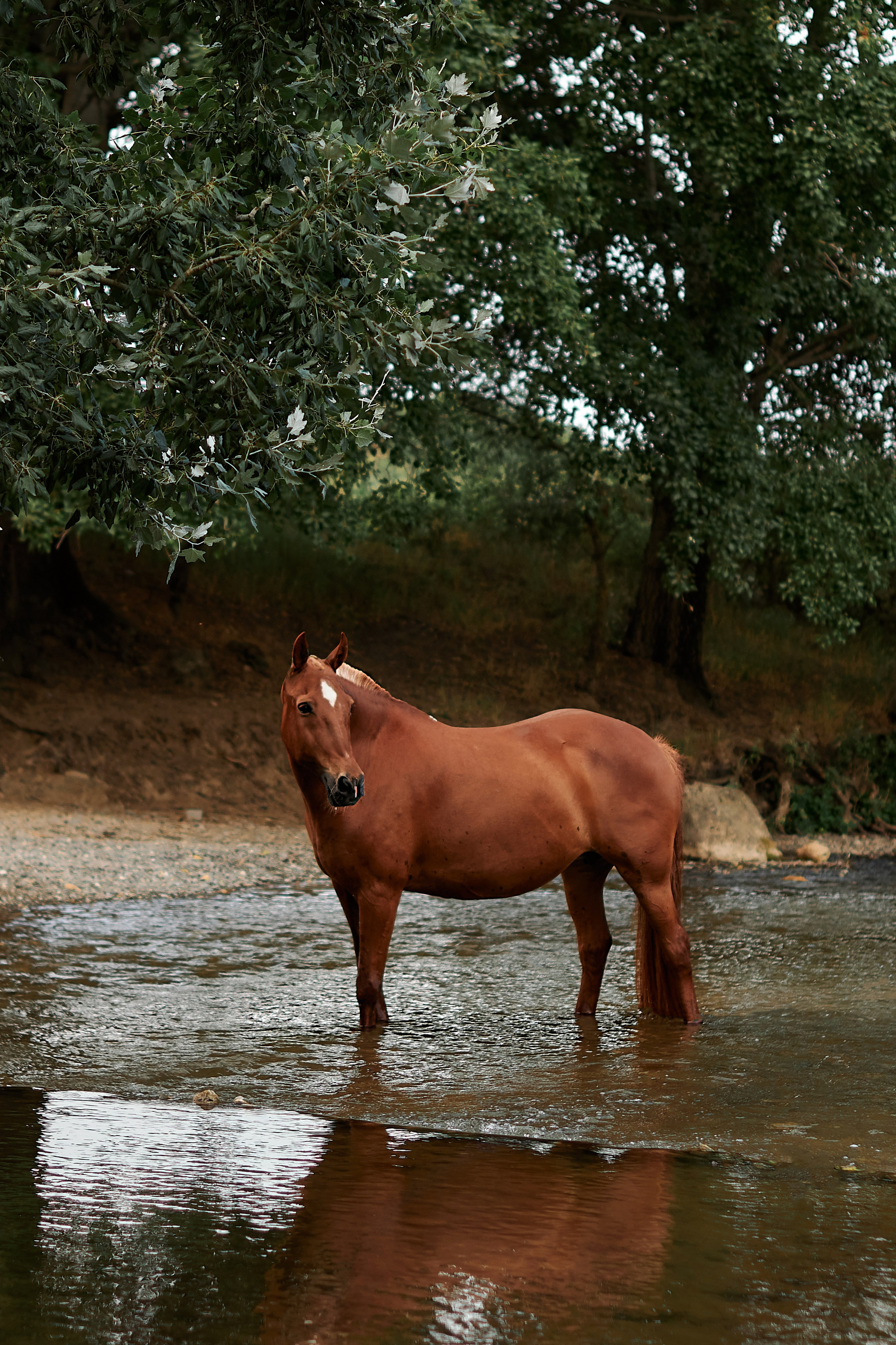 Касандра. Фотограф в Севастополе