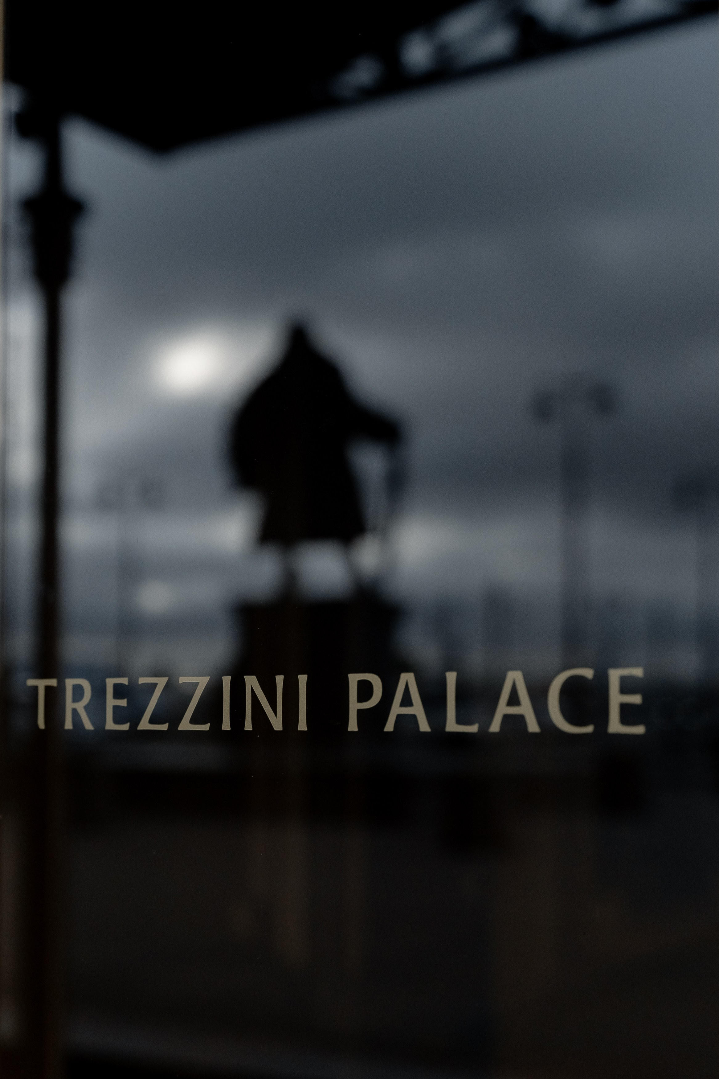 Trezzini Palace. Свадебный фотограф Москва