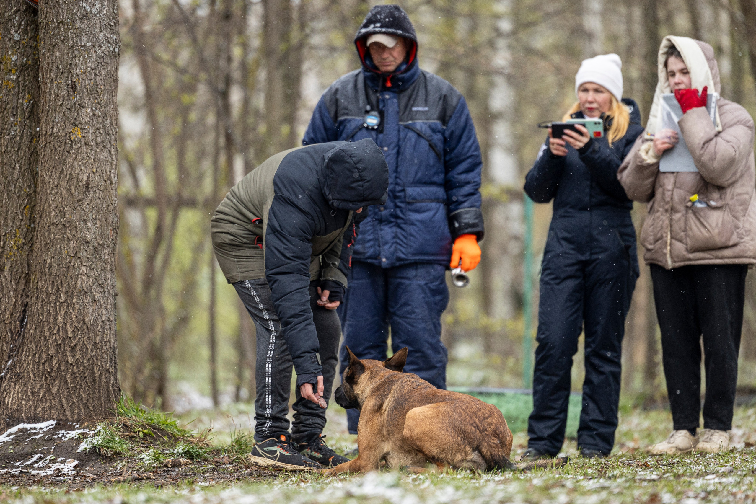 Квалификационные состязания по мондьорингу г. Вологда 11.05.24. Фотограф-анималист Анна Маринич