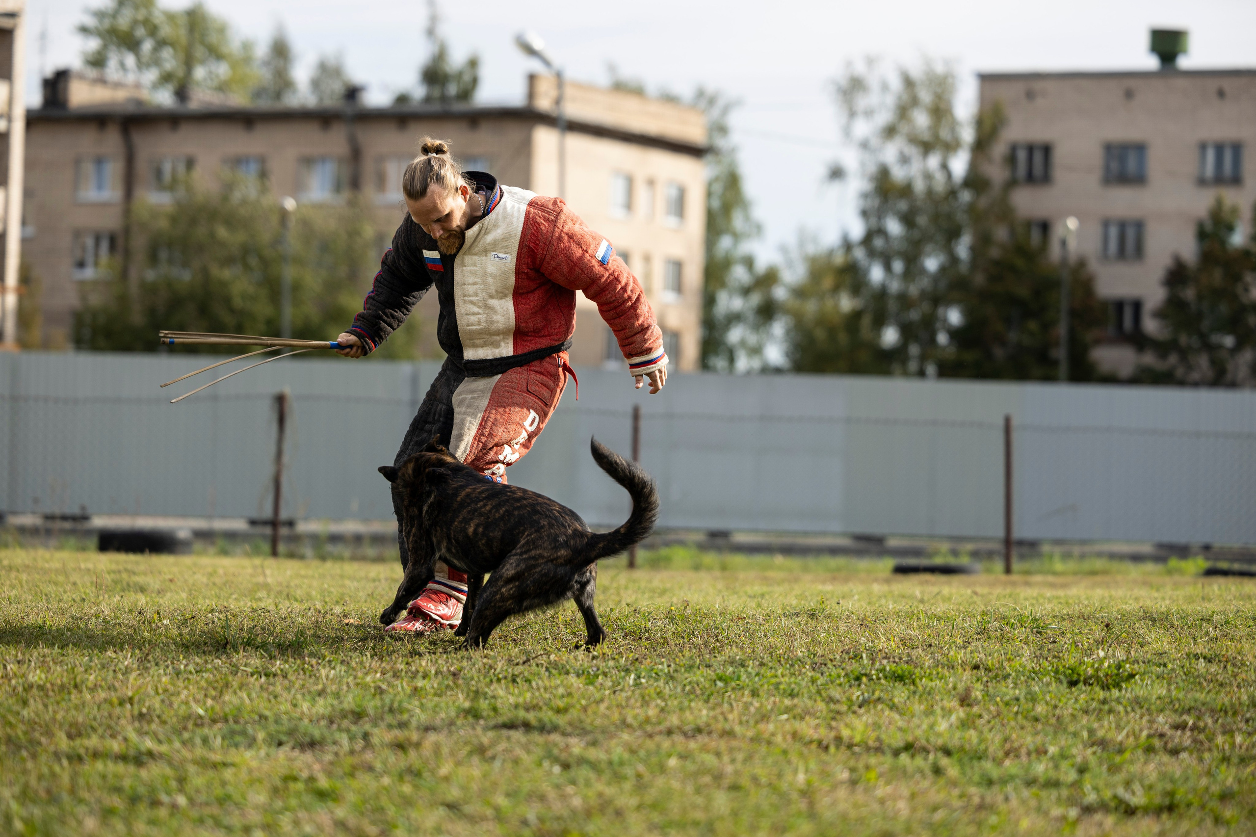 Испытания по Мондьорингу г. Пушкин. Фотограф-анималист Анна Маринич