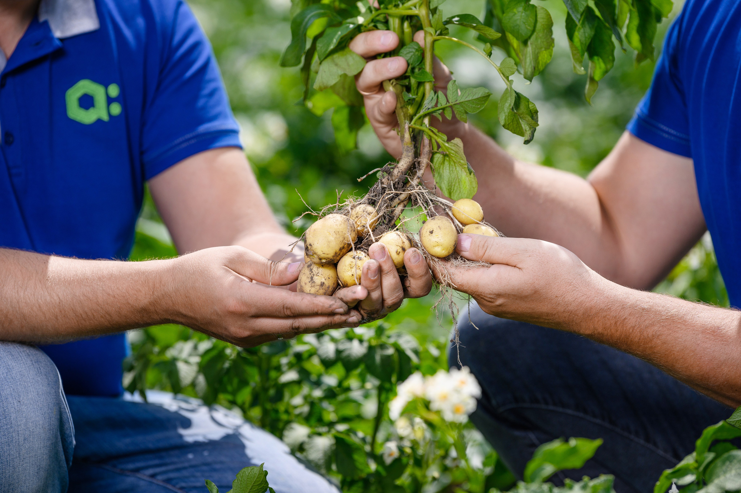 Проекты. Профессиональный фотограф Вячеслав Плацында | Липецк |