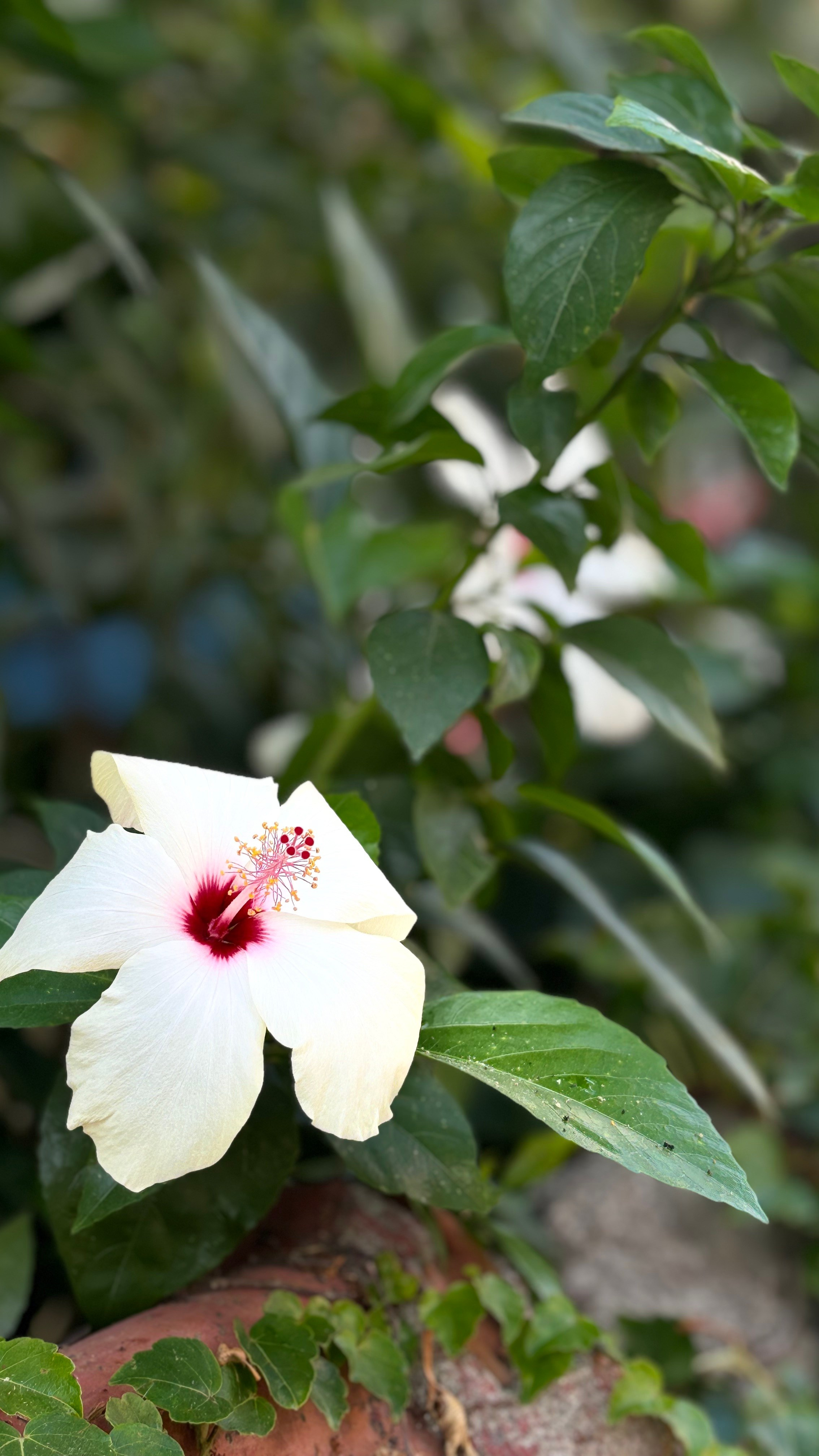 Алания, Турция. Персональный фотограф Москва